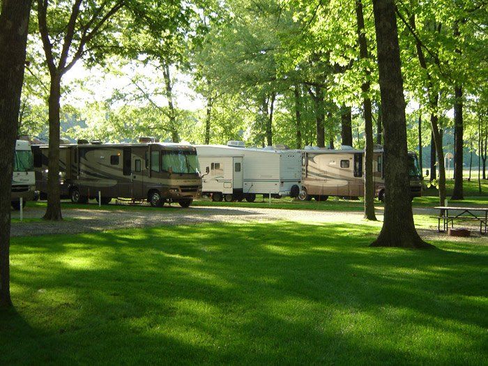 Whittington Woods Camp