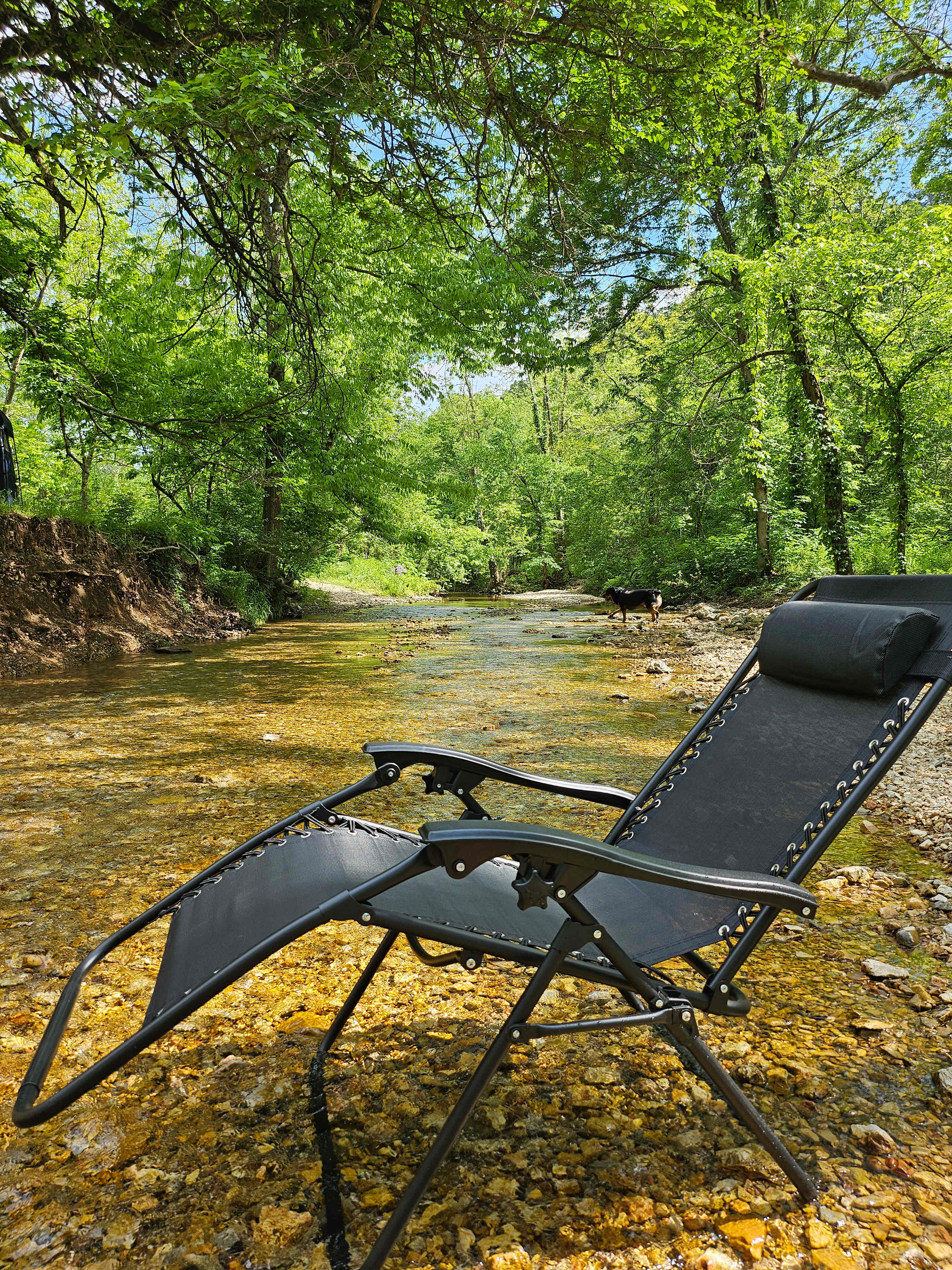 Staying cool in the creek, right at campsight.