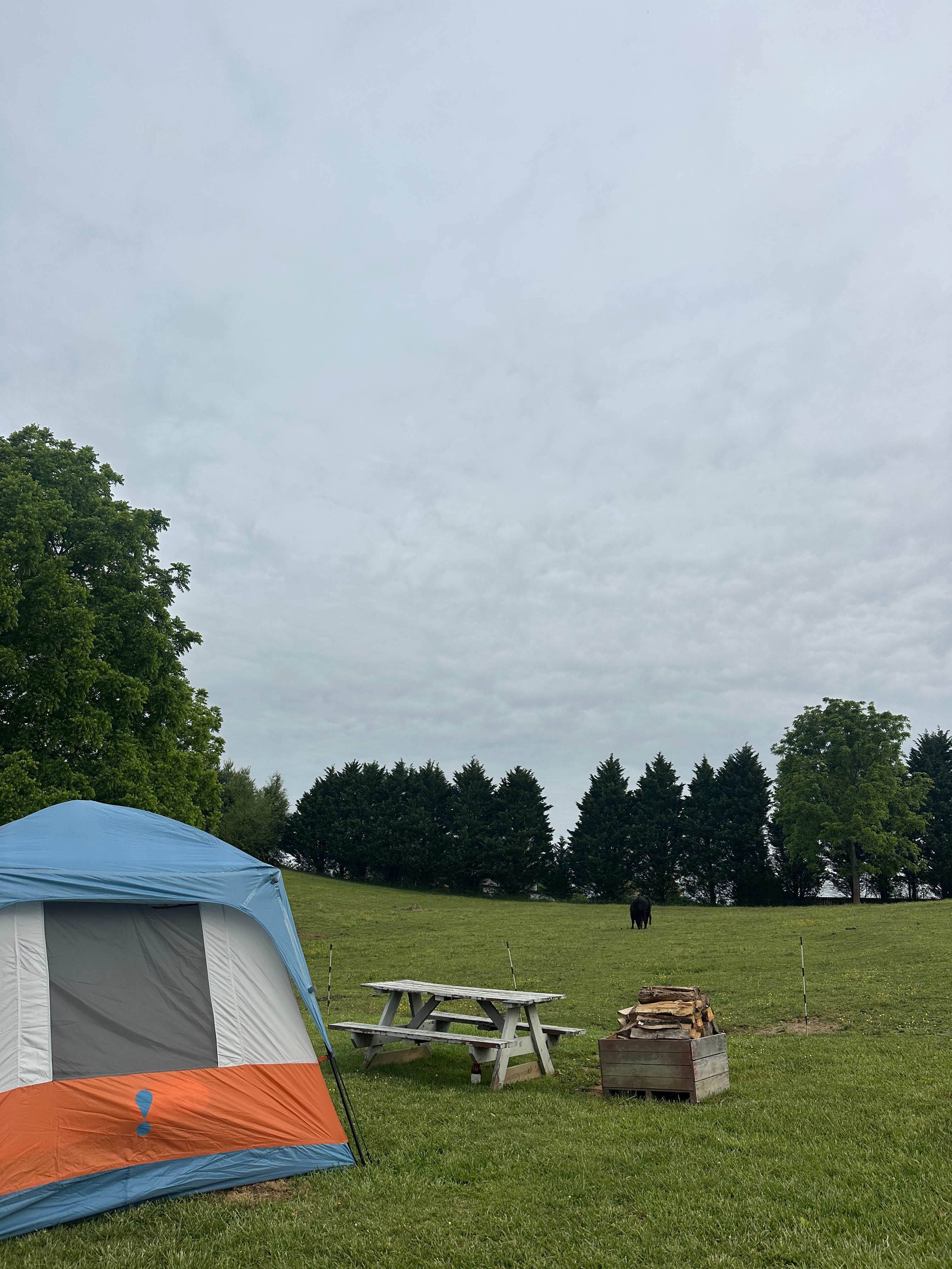 Mountain View Acres