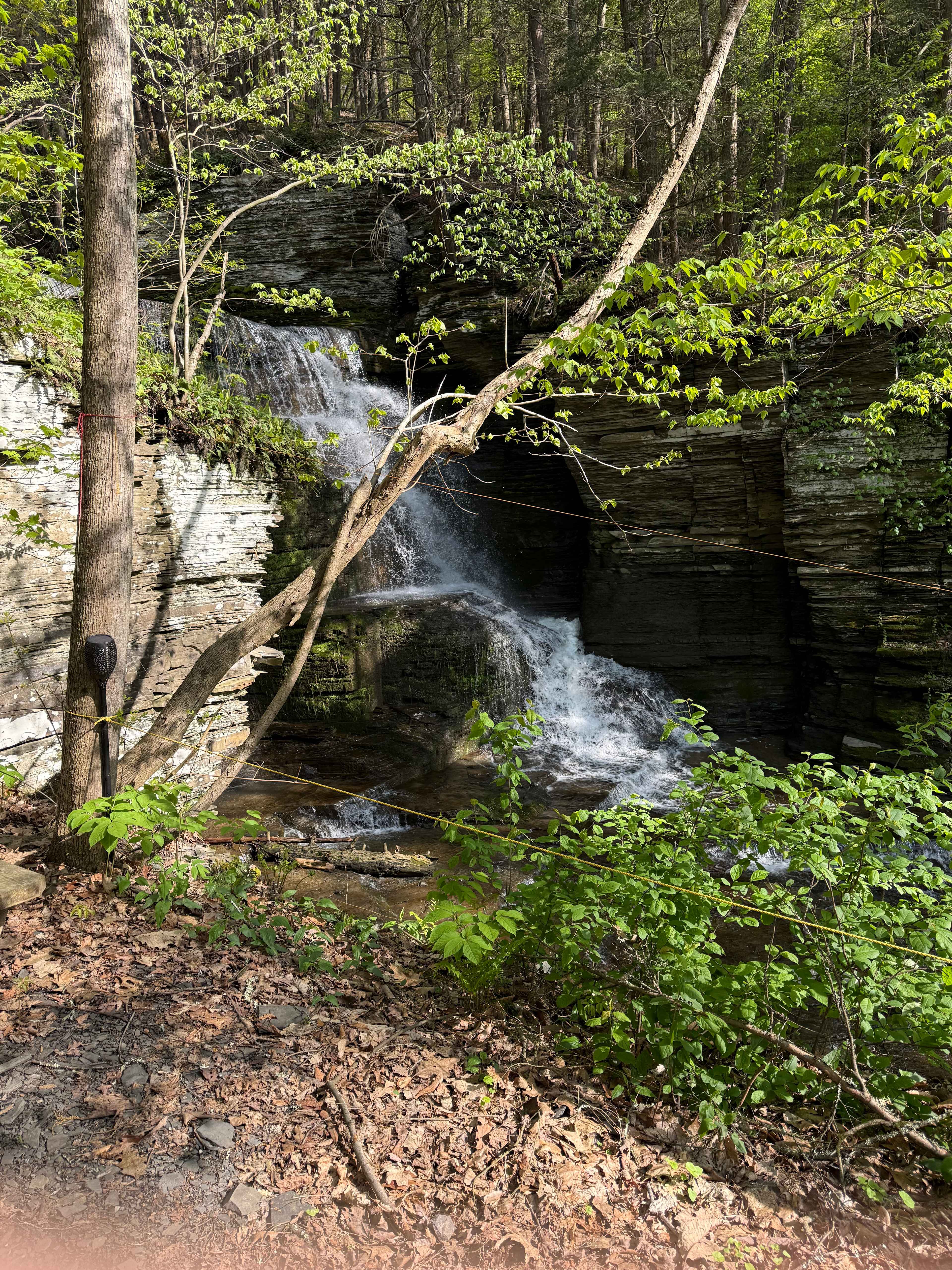 Waterfall Creek