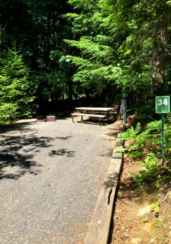 Picture of the site