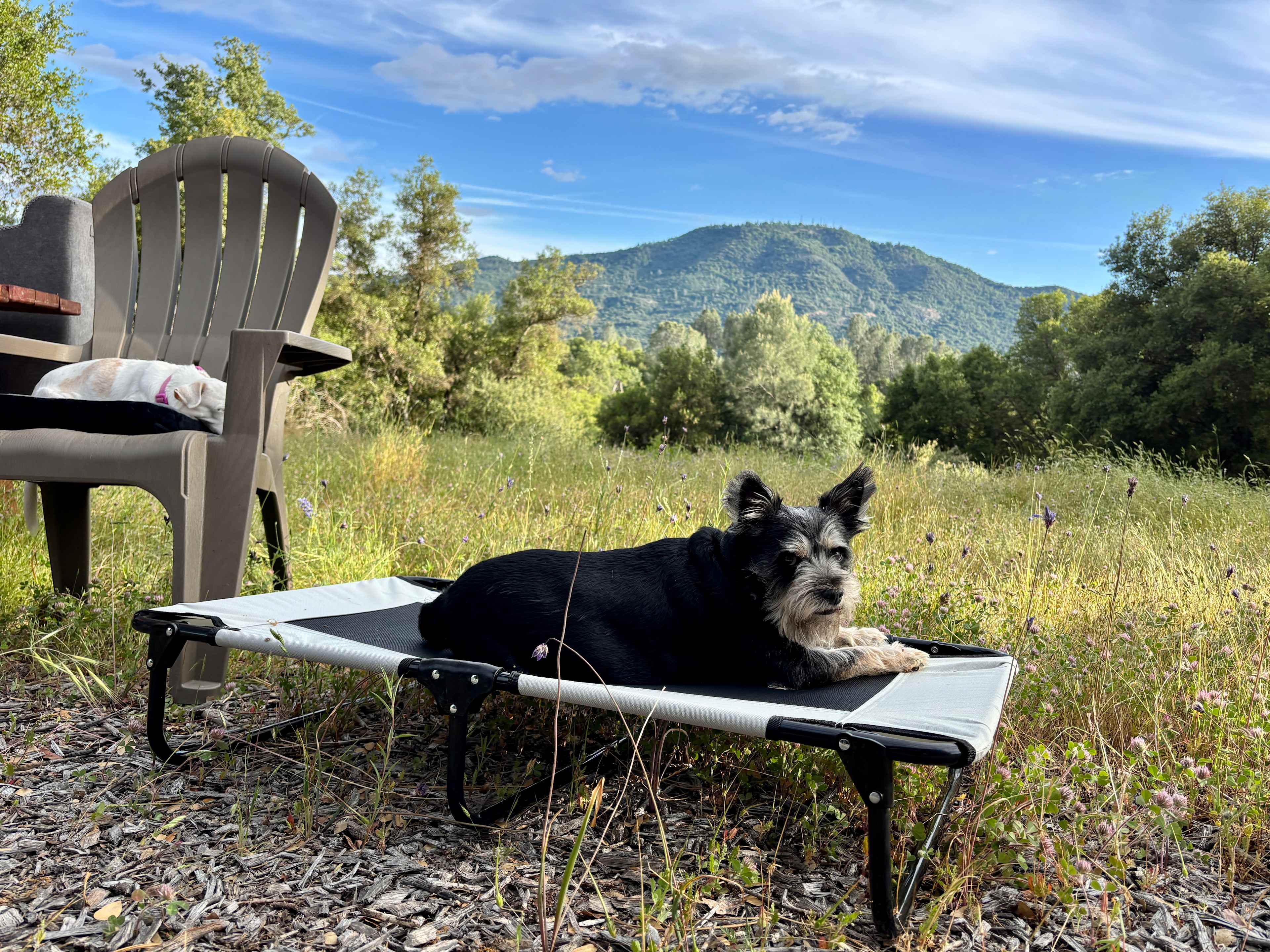 Camp SourBerry (near Yosemite)
