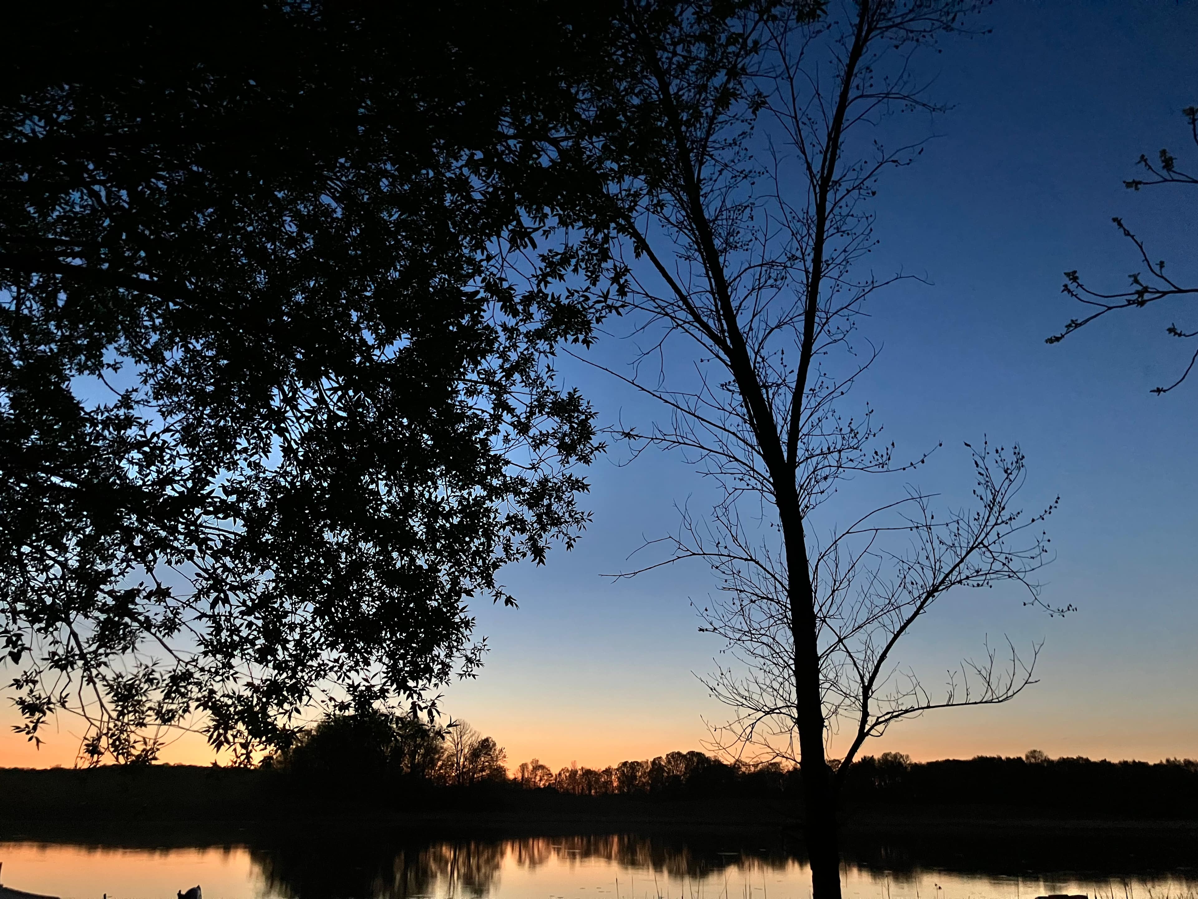 Bayberry Acres on Danger Lake