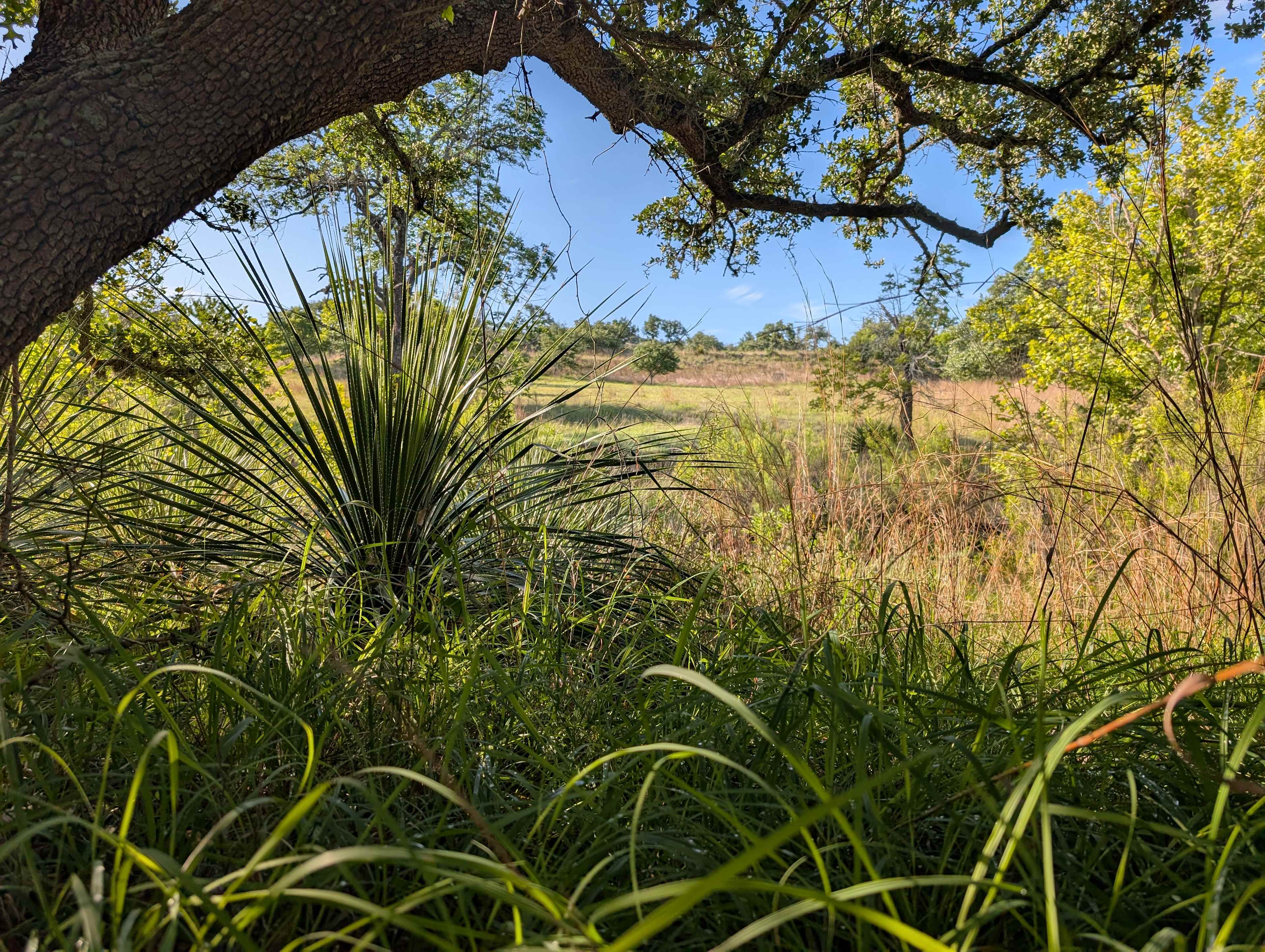 3 Dry Wells Ranch