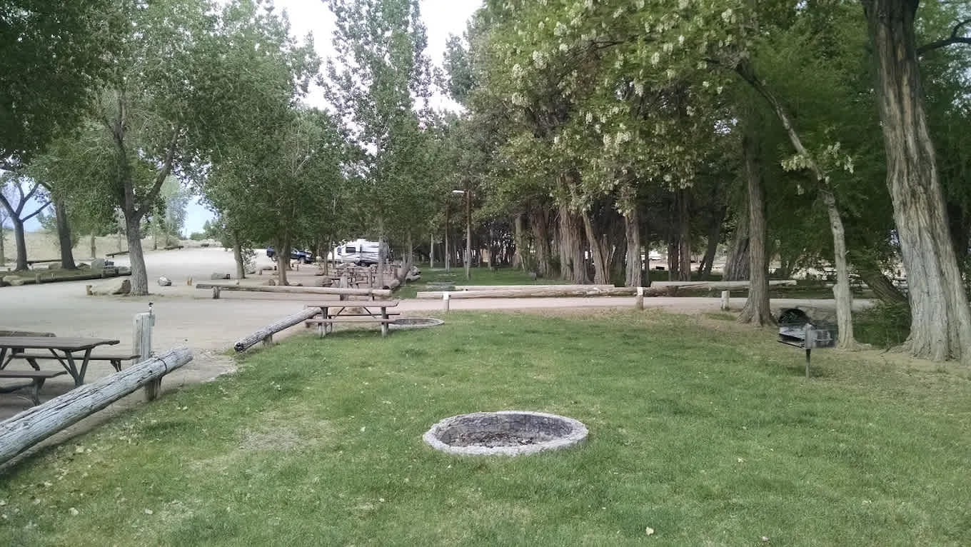 Brown's Millpond Campground