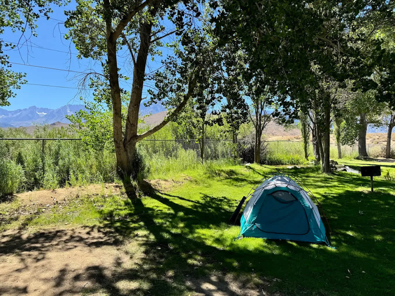 Brown's Millpond Campground