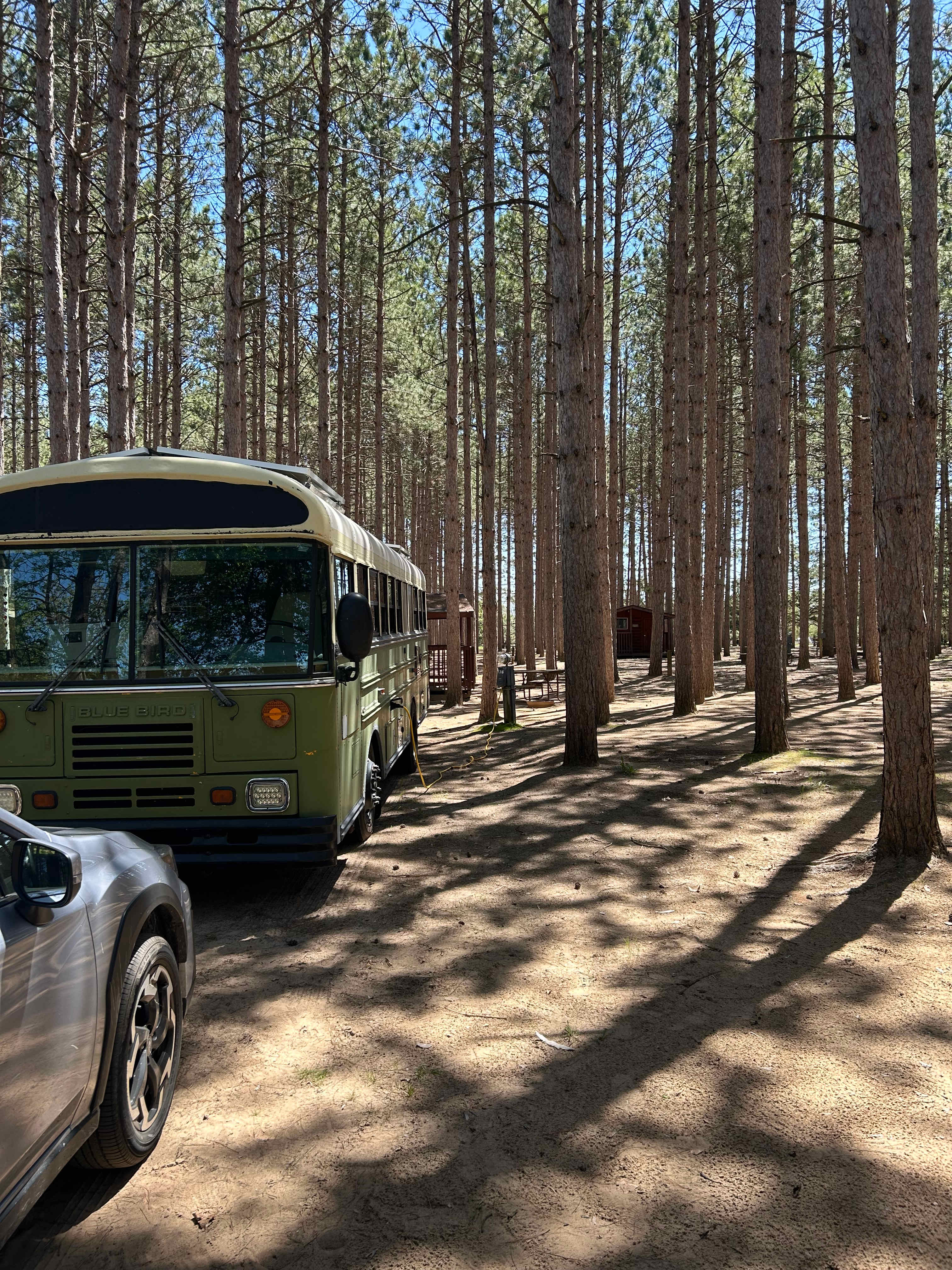 Dell Pines Campground