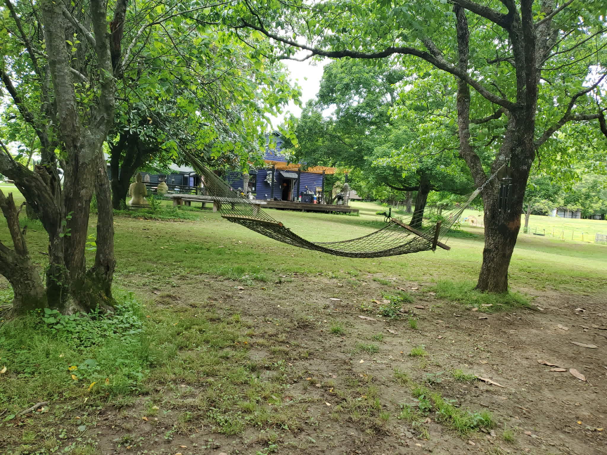 Sacred Dog Ranch