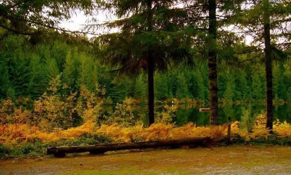 Lake Bronson Club Family Nudist Park