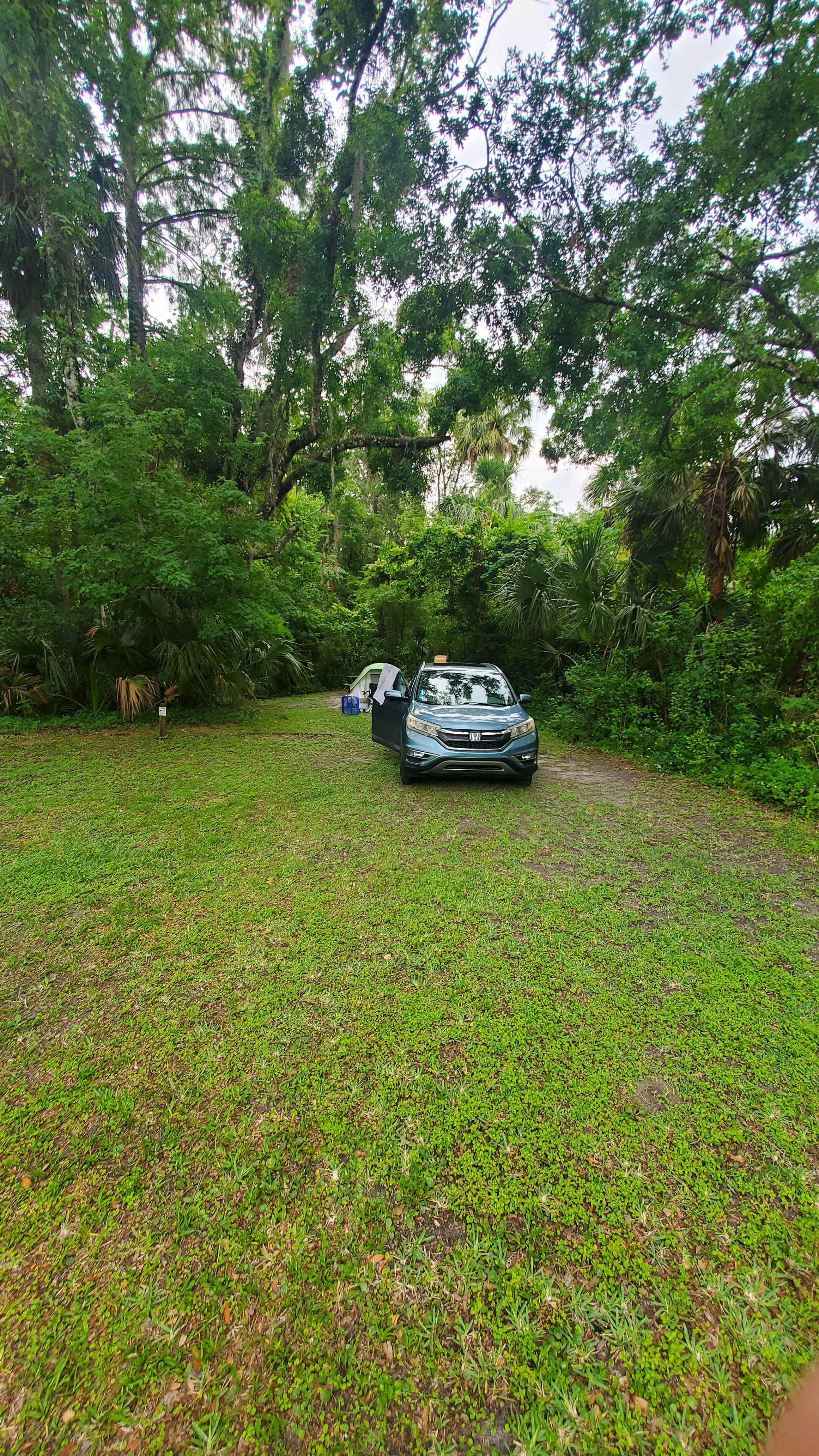 Cotee River Bend