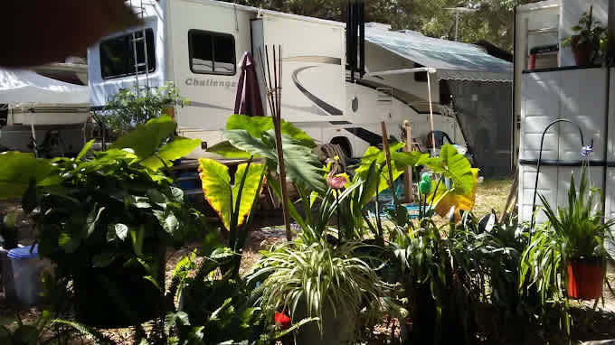 Anclote Village Rv Park
