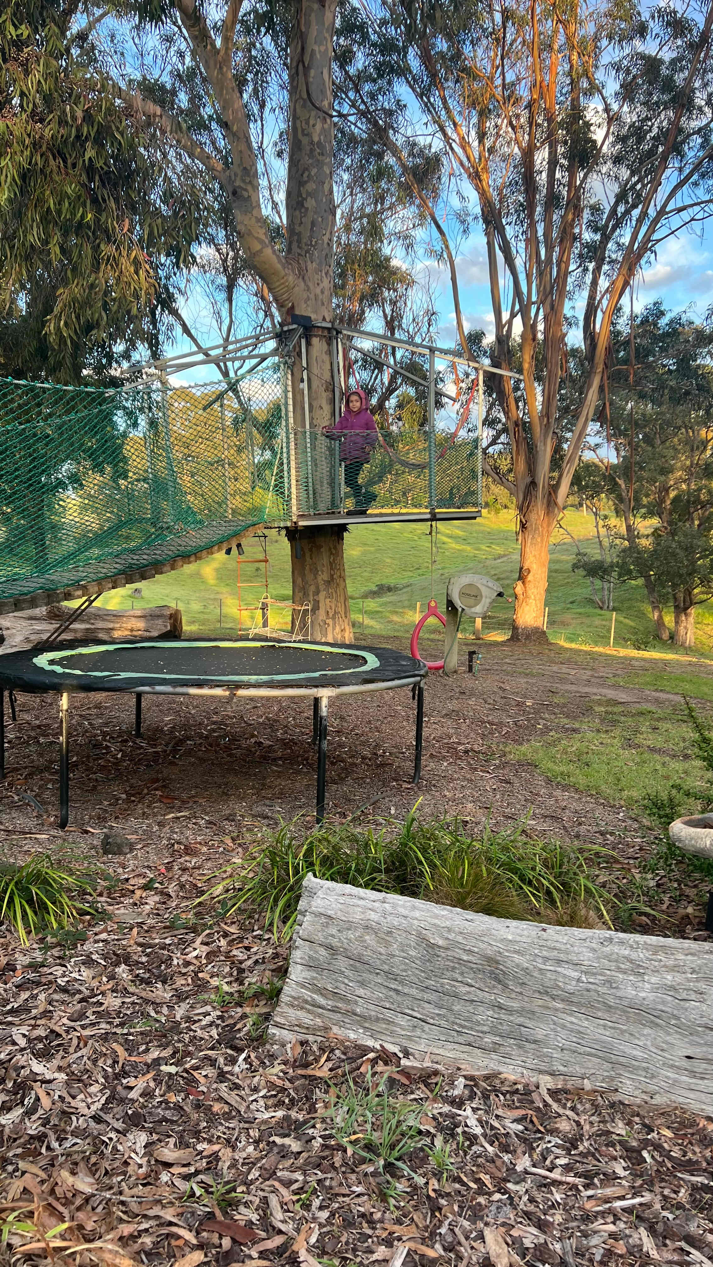 Home among the Gumtrees