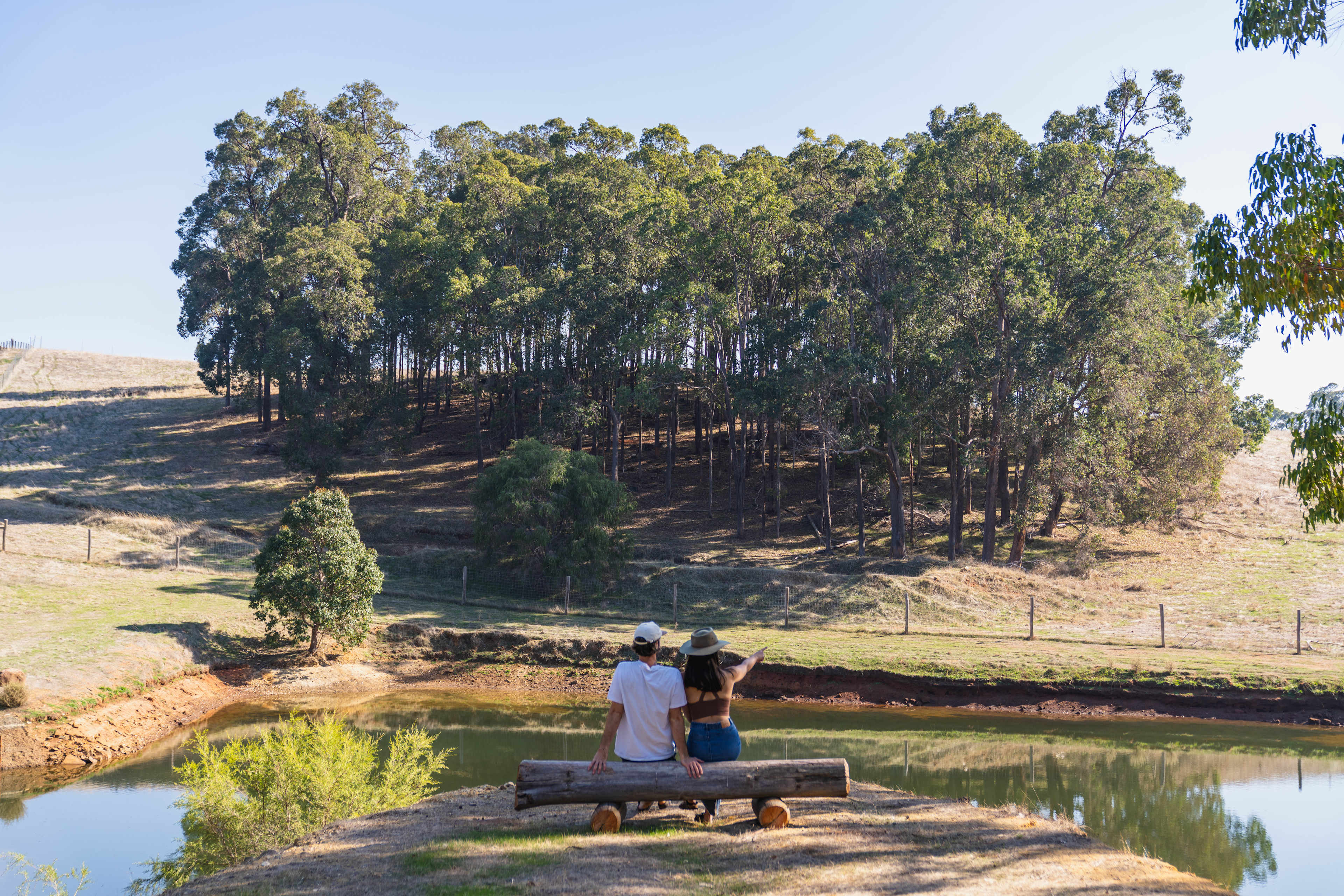 La Fiumara Olive Farm