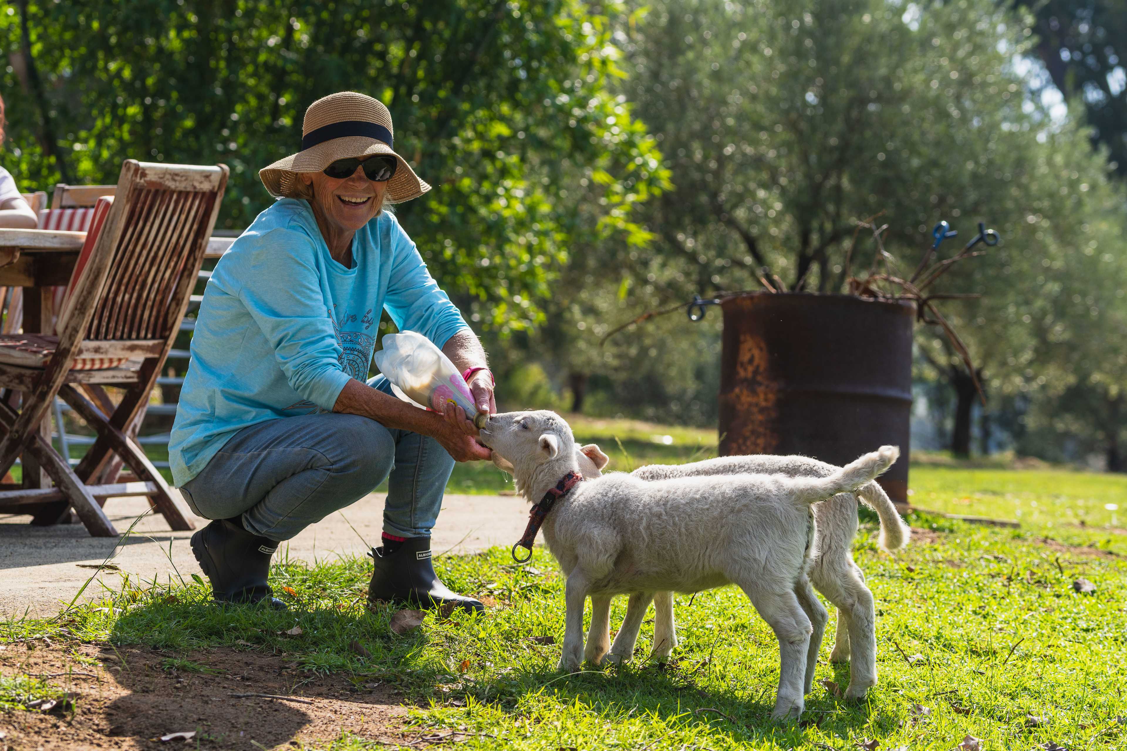 La Fiumara Olive Farm