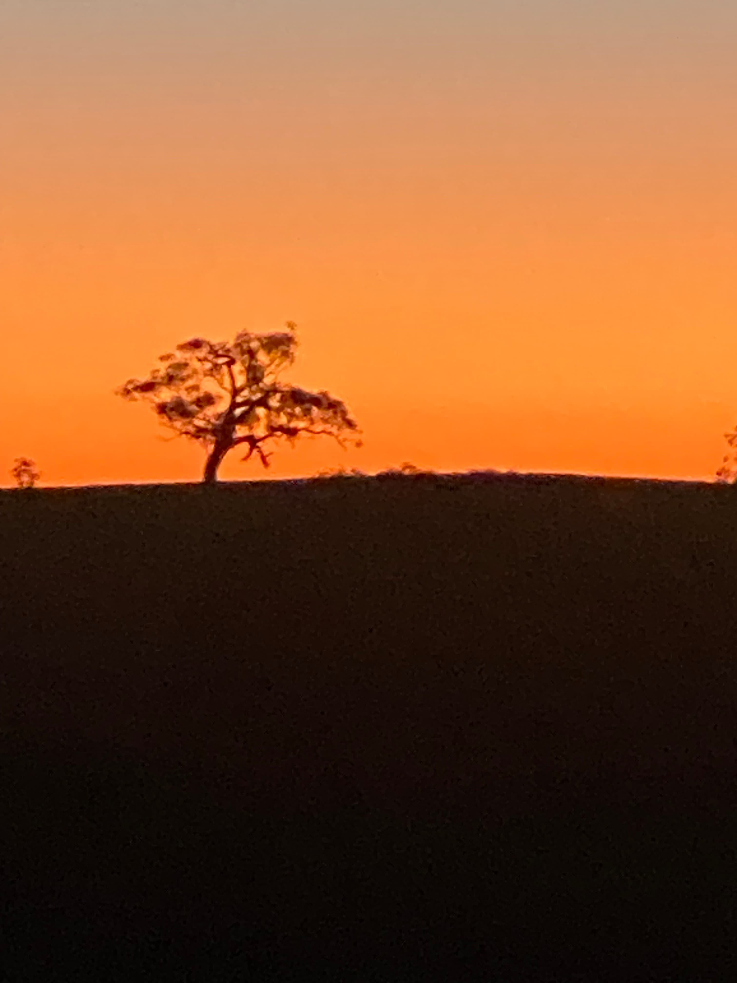 Stunning Sun Sets