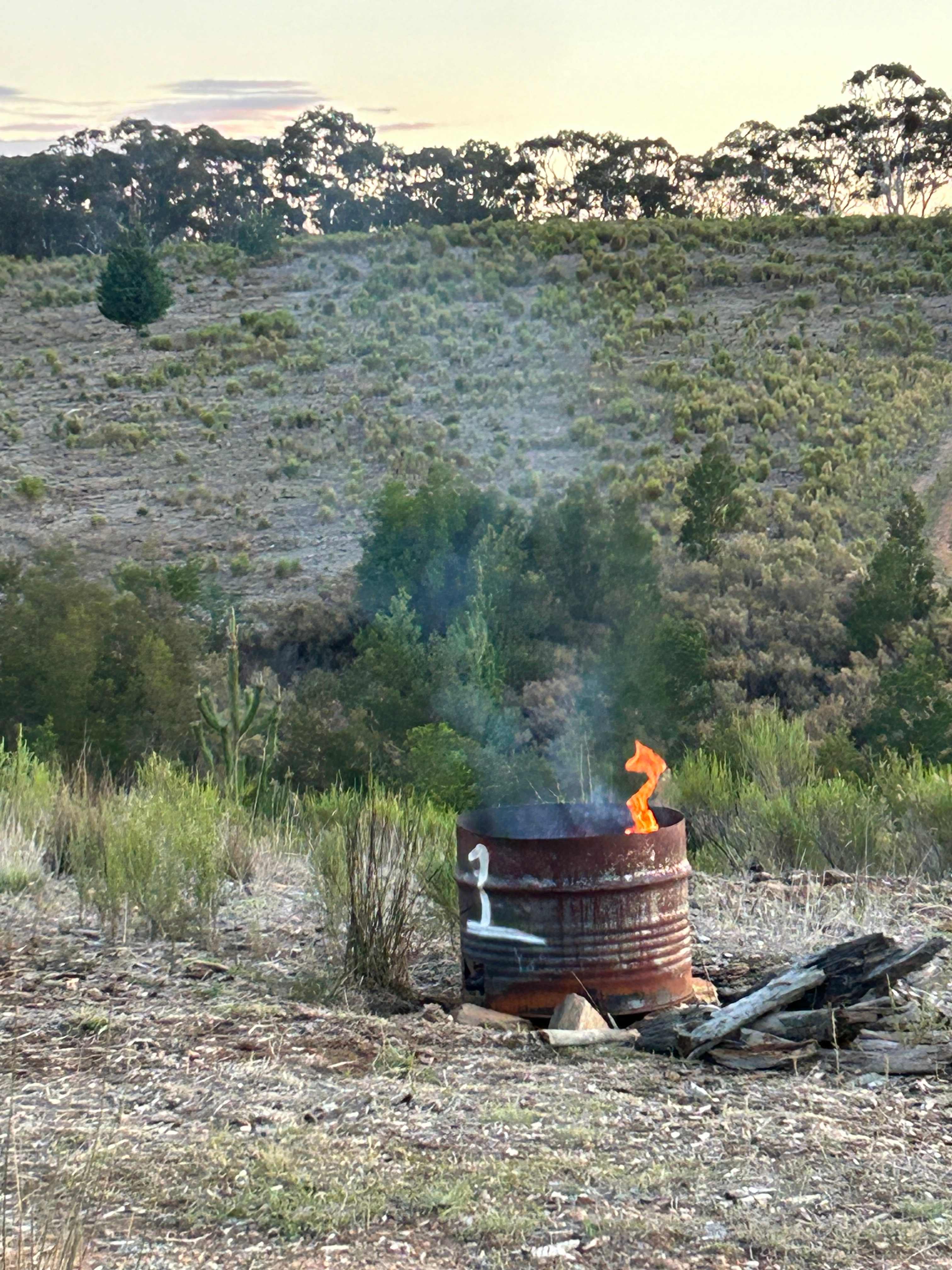 Camp fires allowed
