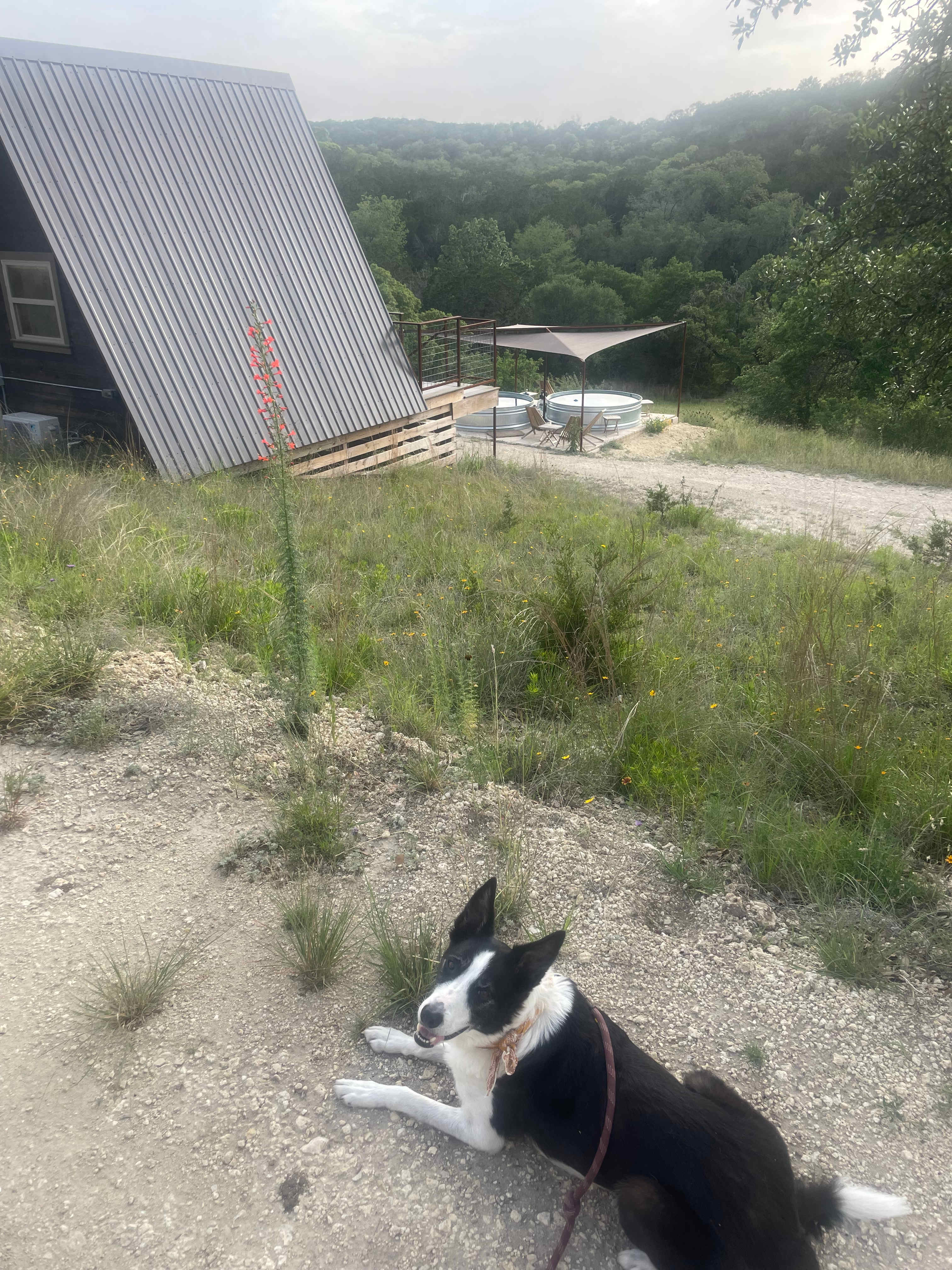 The Charmadillo: Glamping Resort