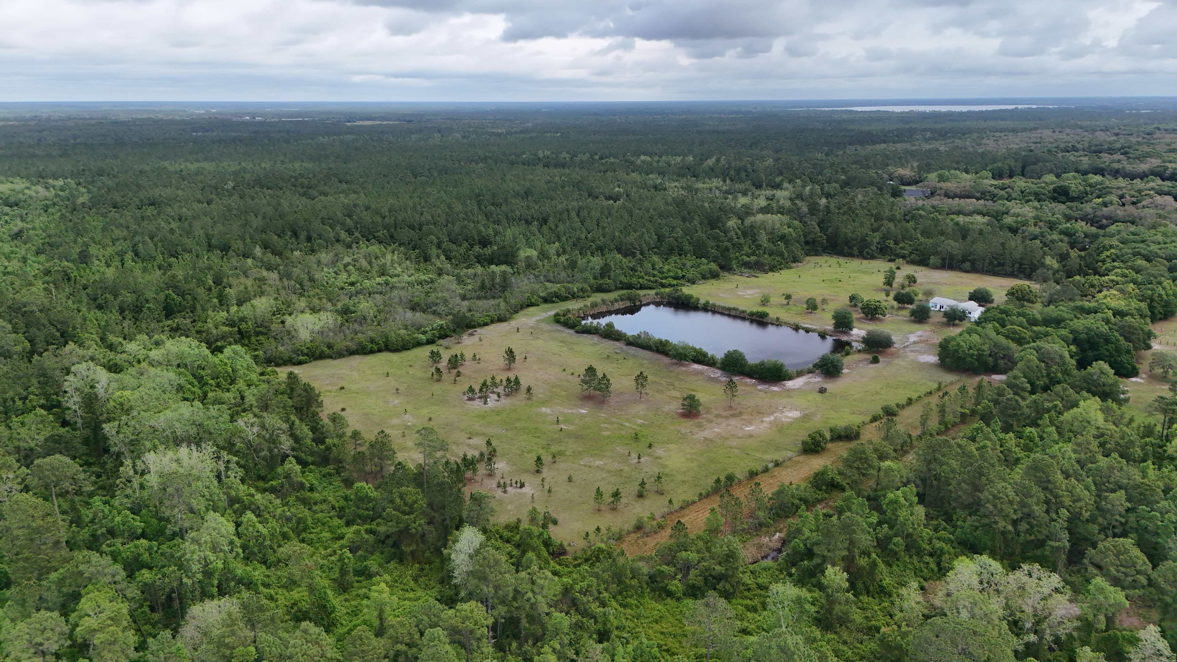 Pine Street Basin Preserve