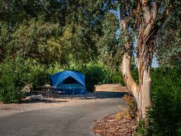 Temple Bar Marina RV Park