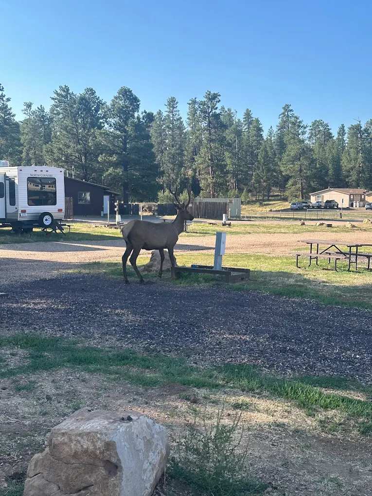 Grand Canyon Camper Village