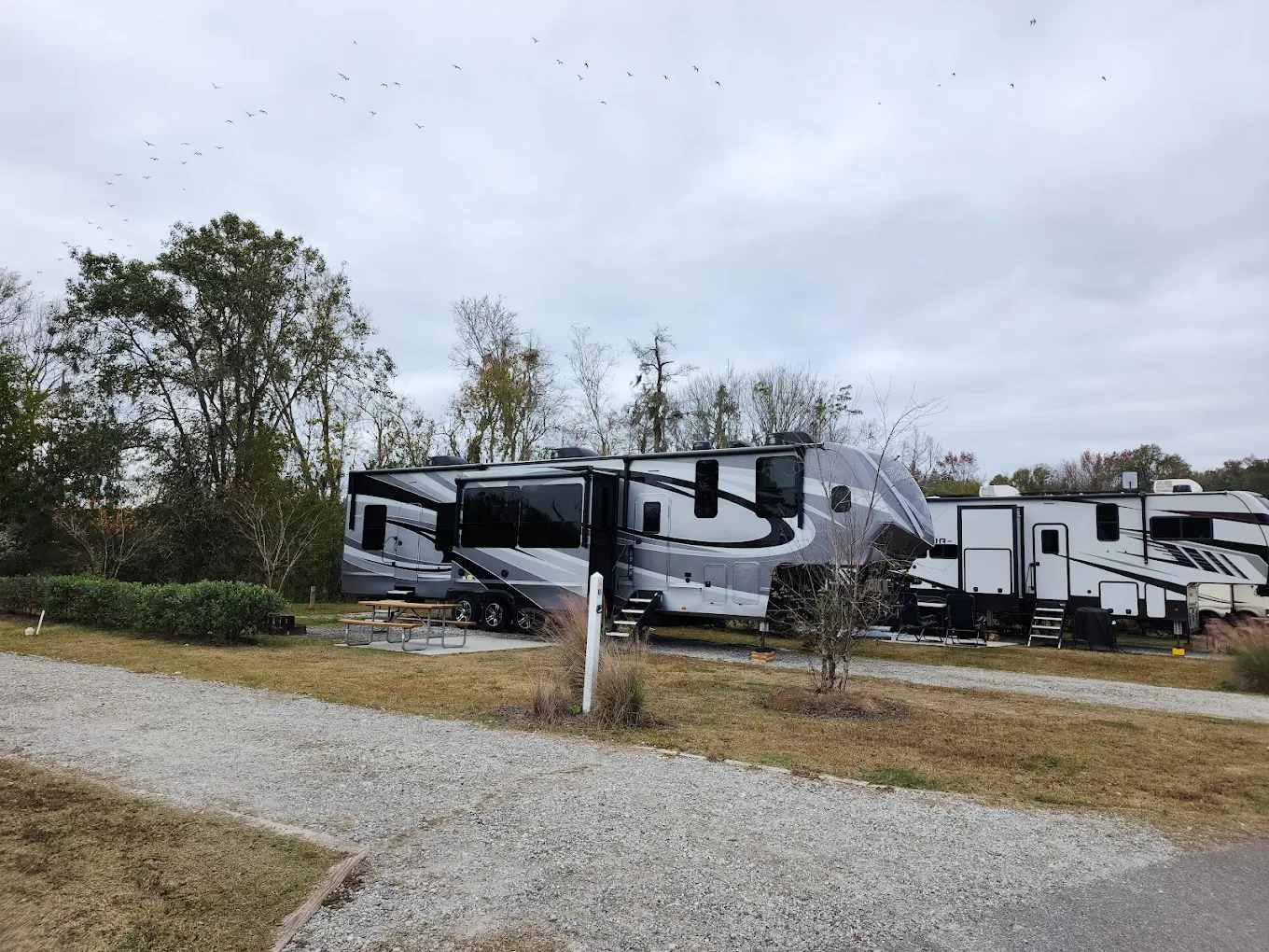 Savannah Rv CreekFire RV Resort and Campground - Hipcamp in Savannah, Georgia
