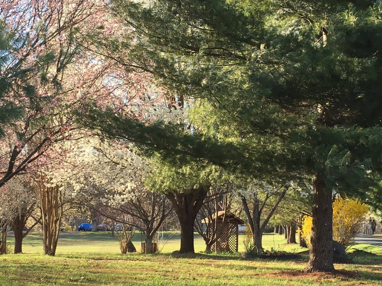 Paradise Lake Family Campground