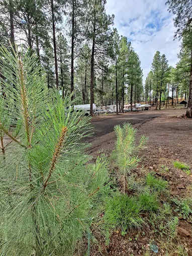 Kit Carson RV Park