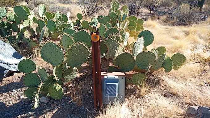Gilbert Ray Campground Tucson Mountain Park