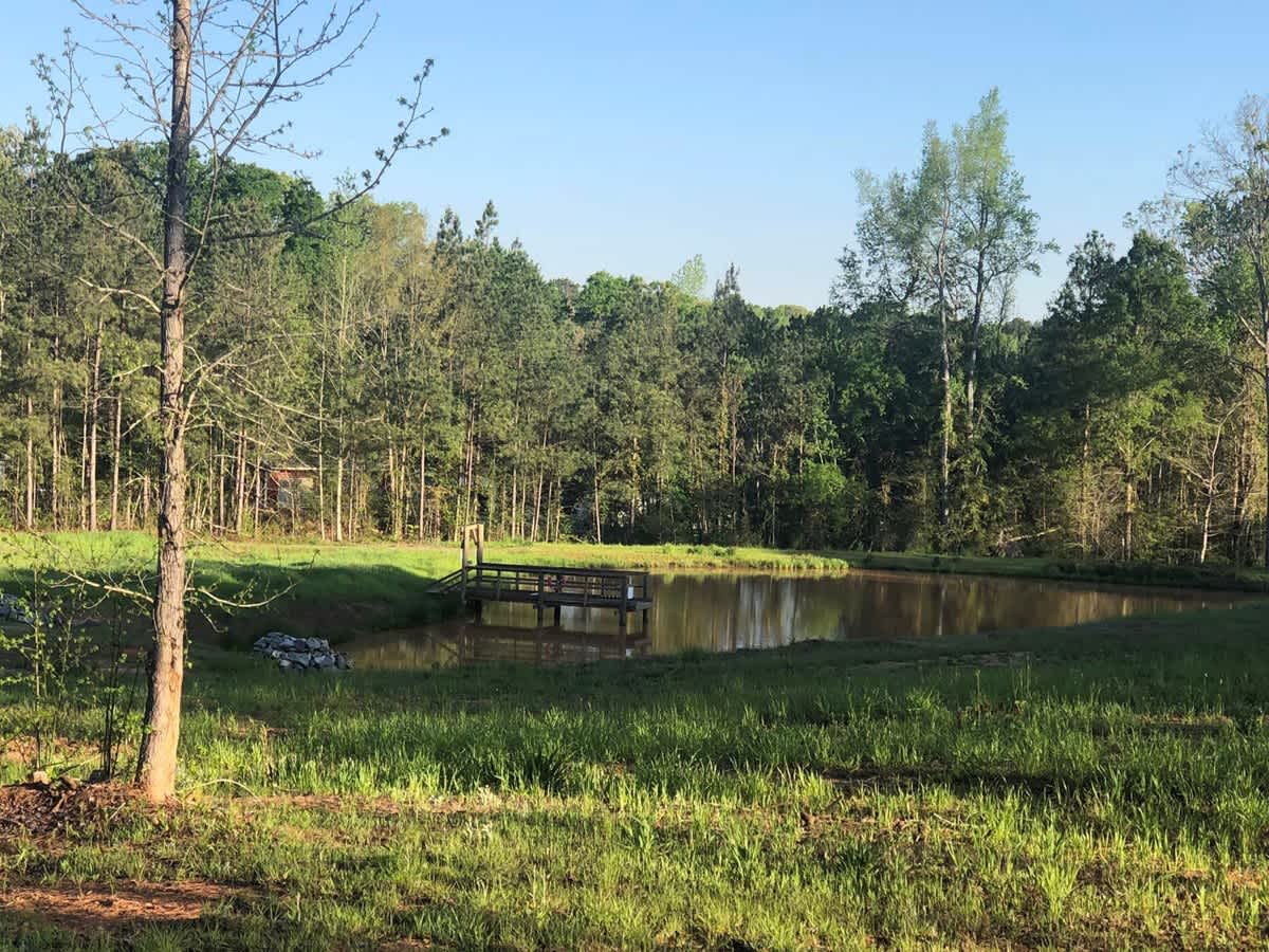 Newberry / I-26 / Sumter NF KOA Journey