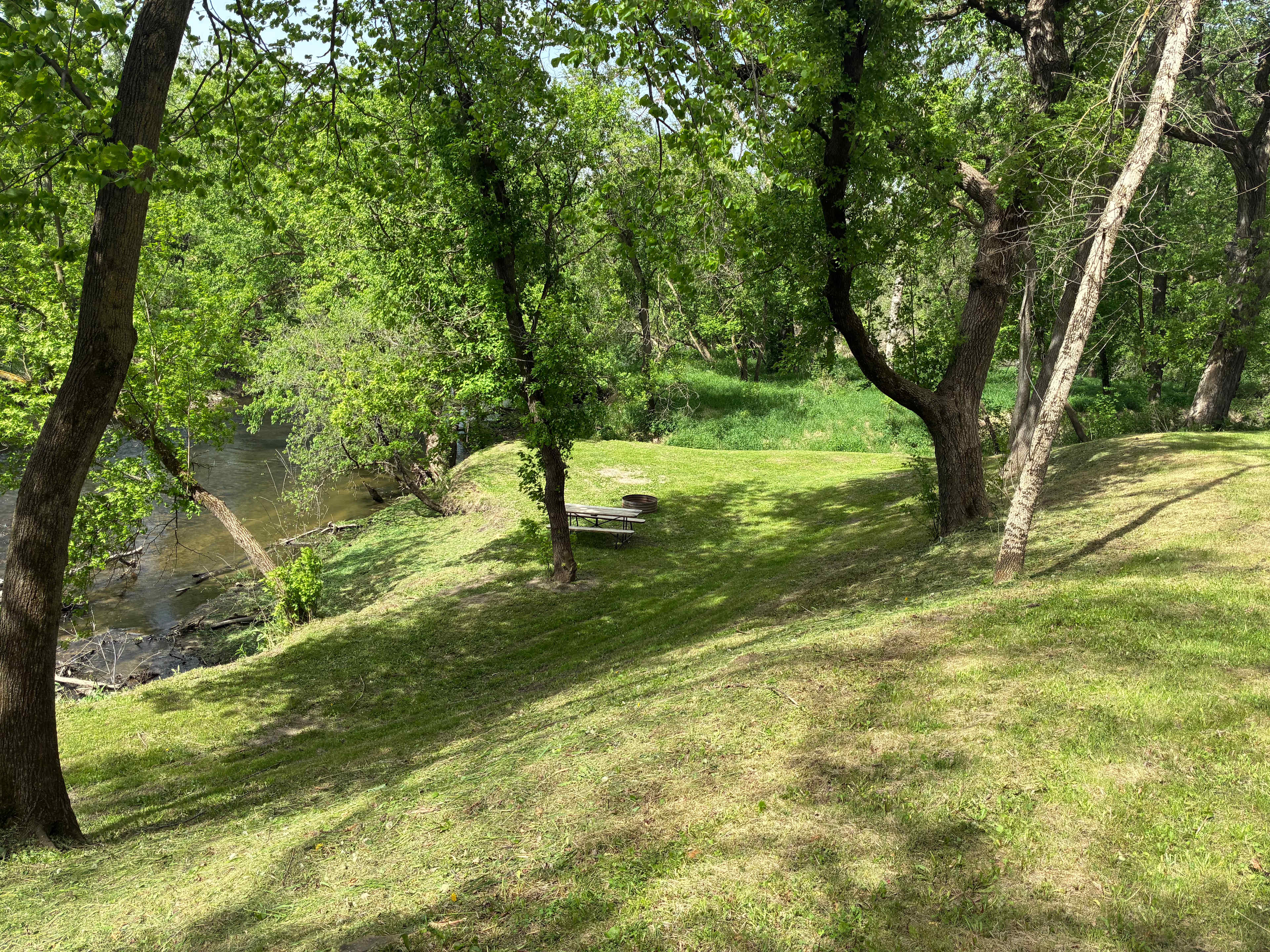 Picture of the site