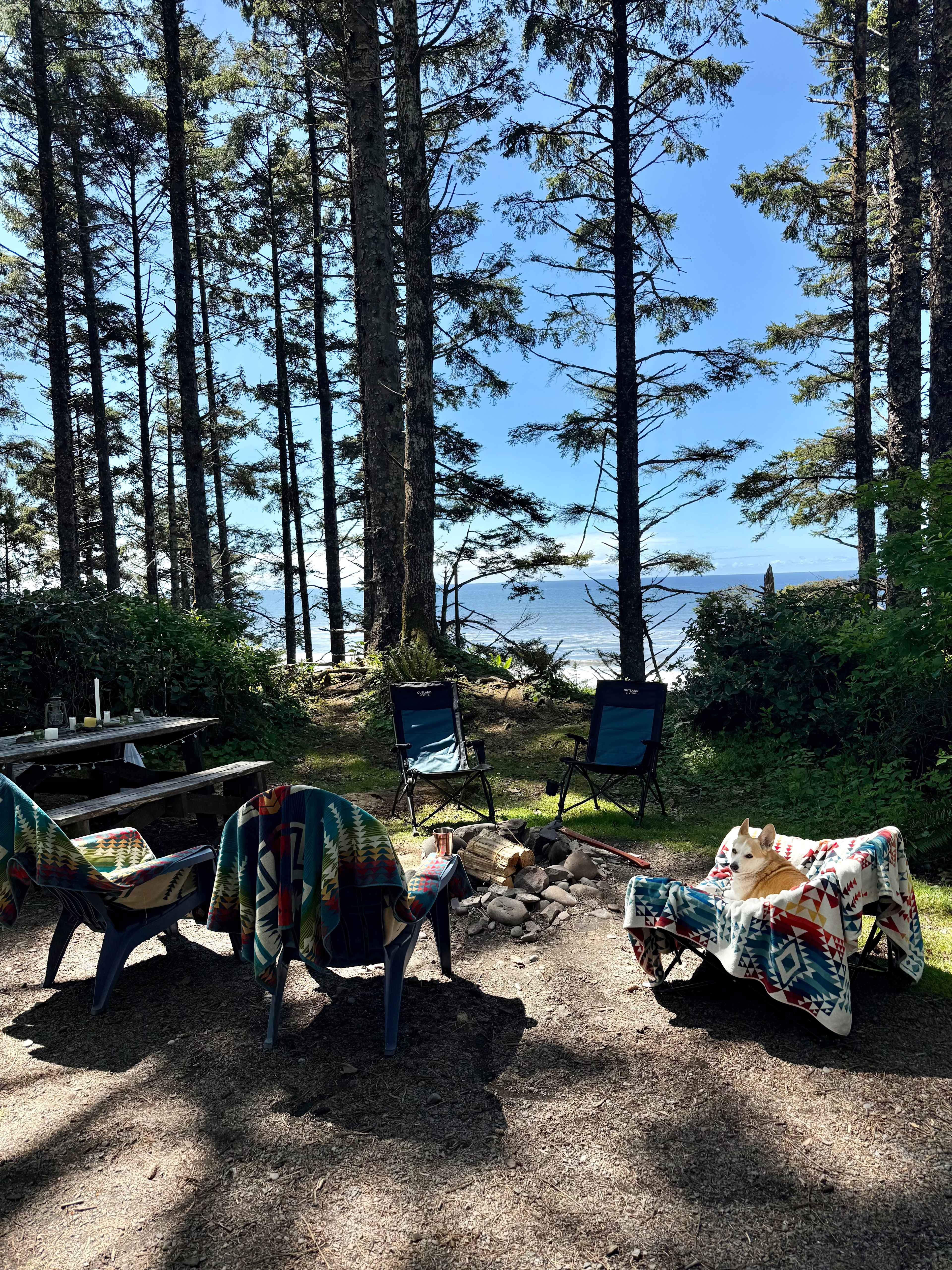 Wild WA Coast Lookout ($75 - $125)