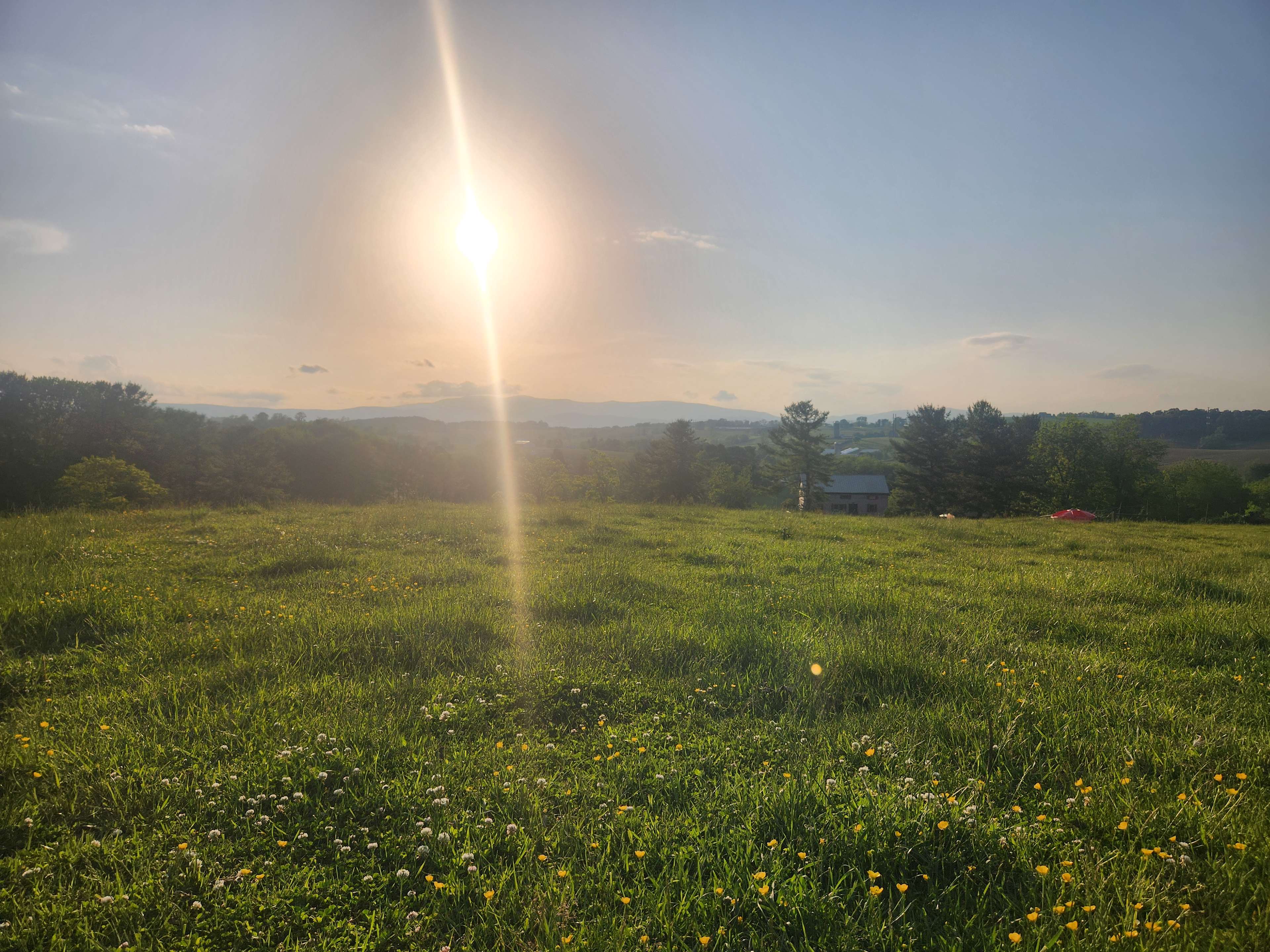 Boondock on the Farm