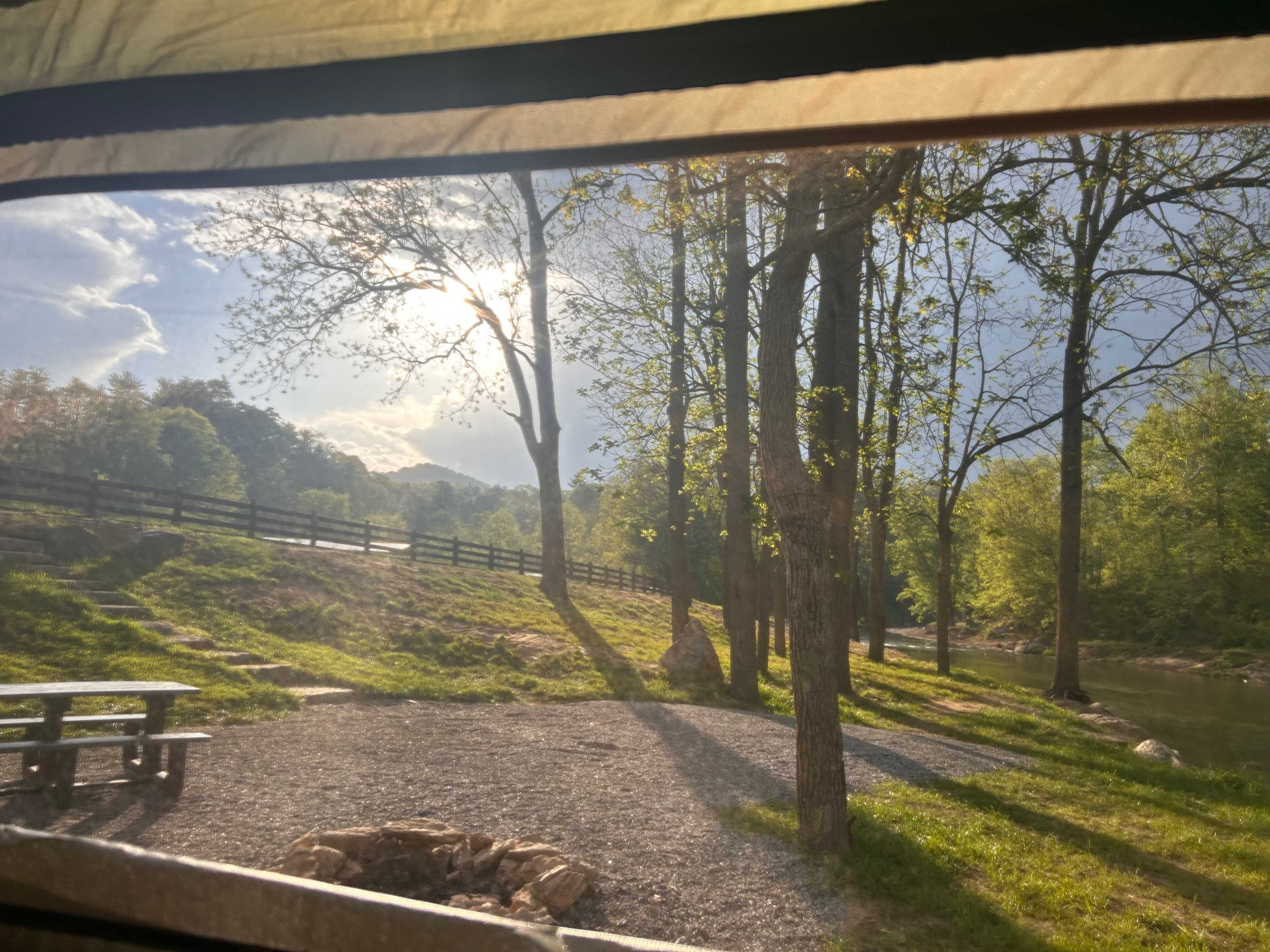 Smoky Mtn Mangalitsa River Ranch