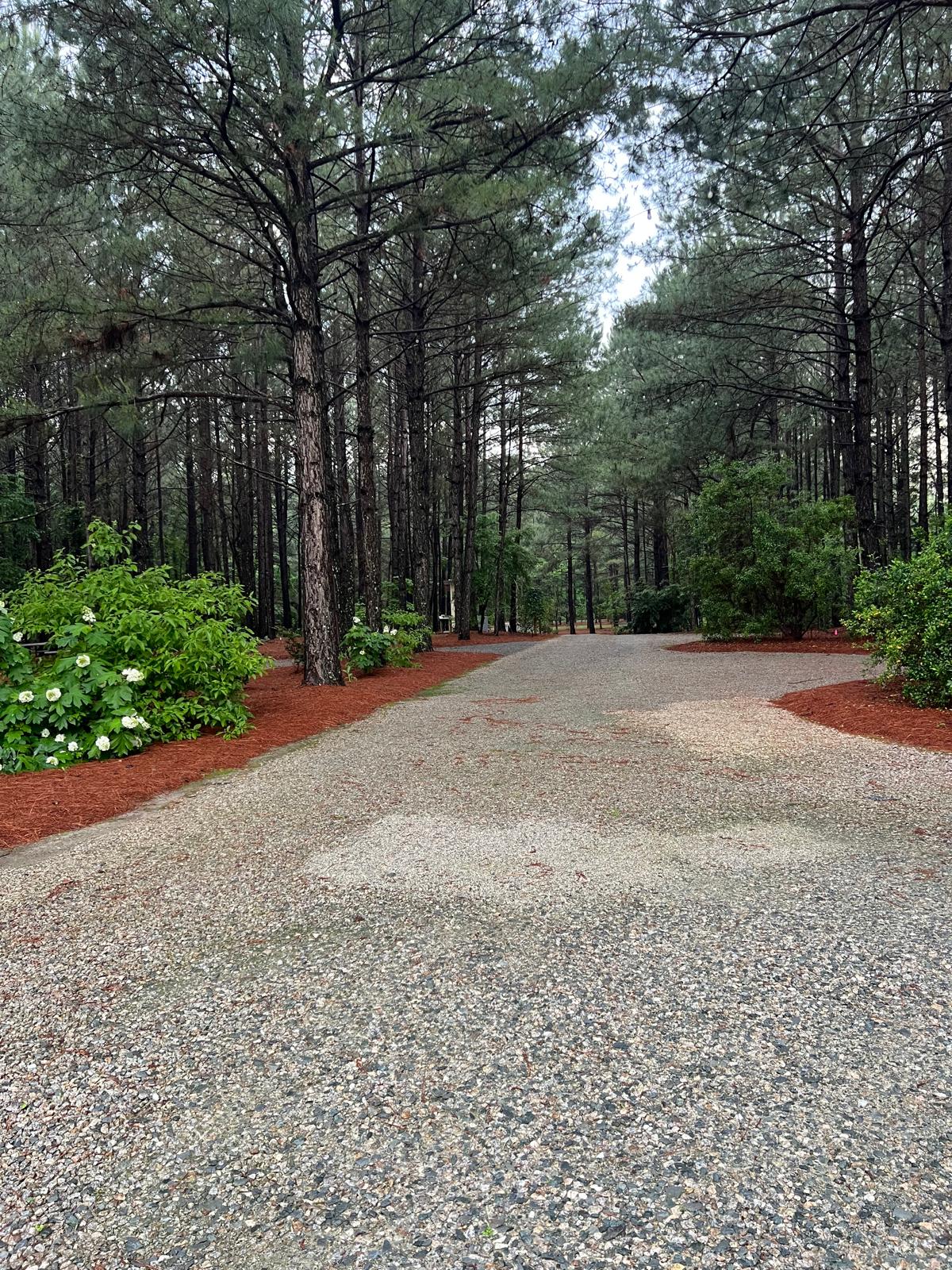 Cedar Creek Campground at Elease