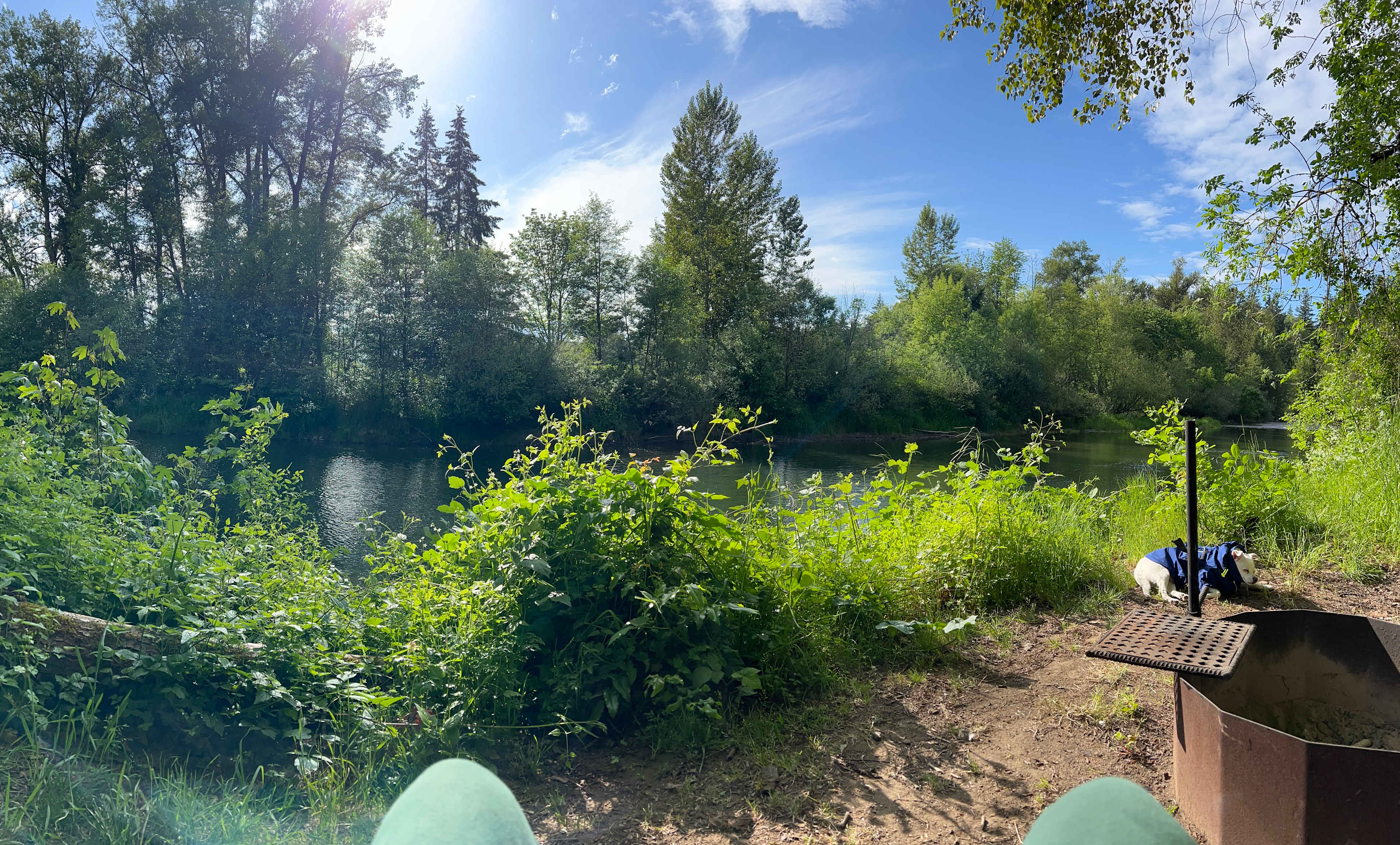 Molalla Ripple