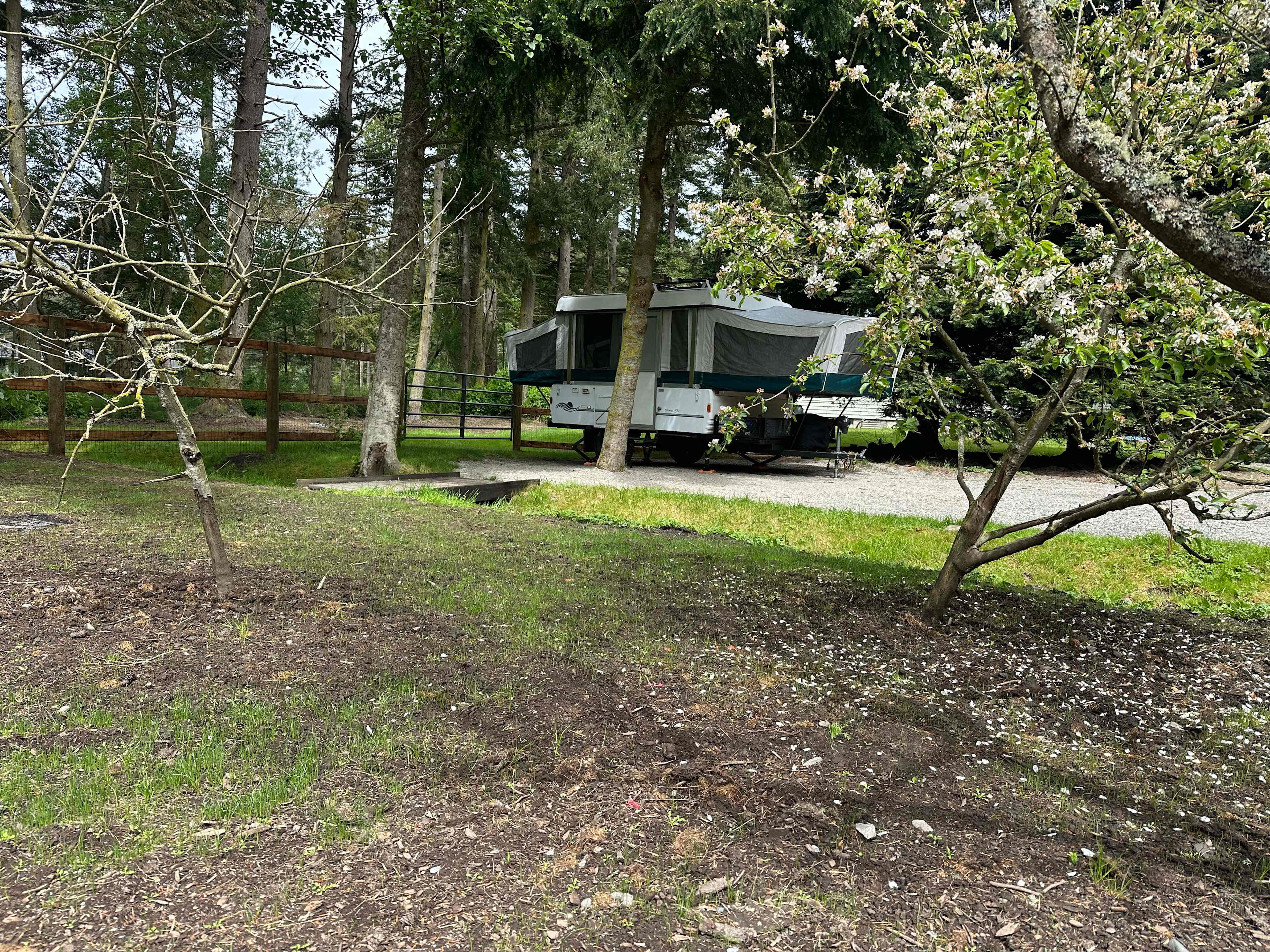 Island Orchard