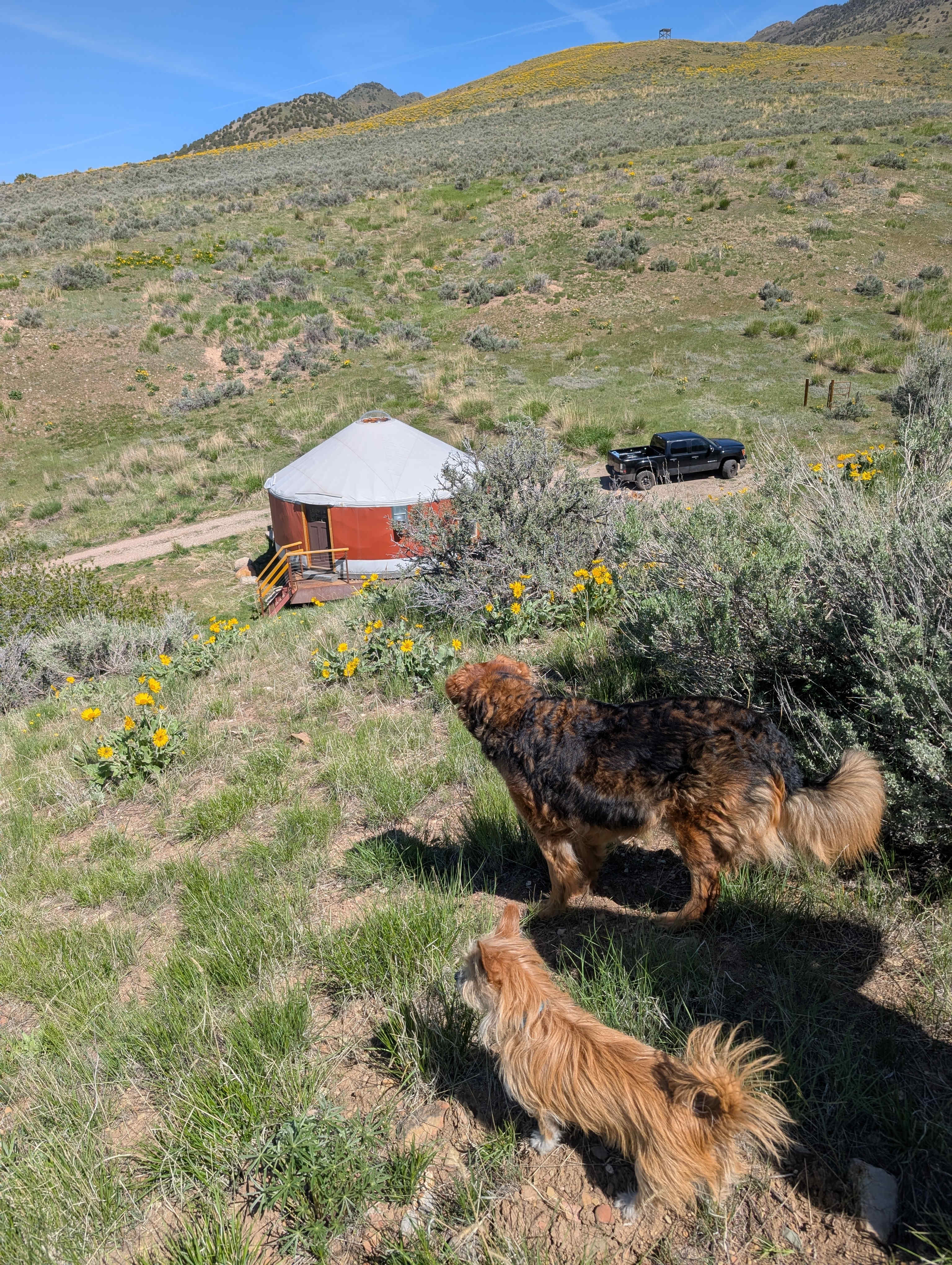 Secret Canyon Ranch