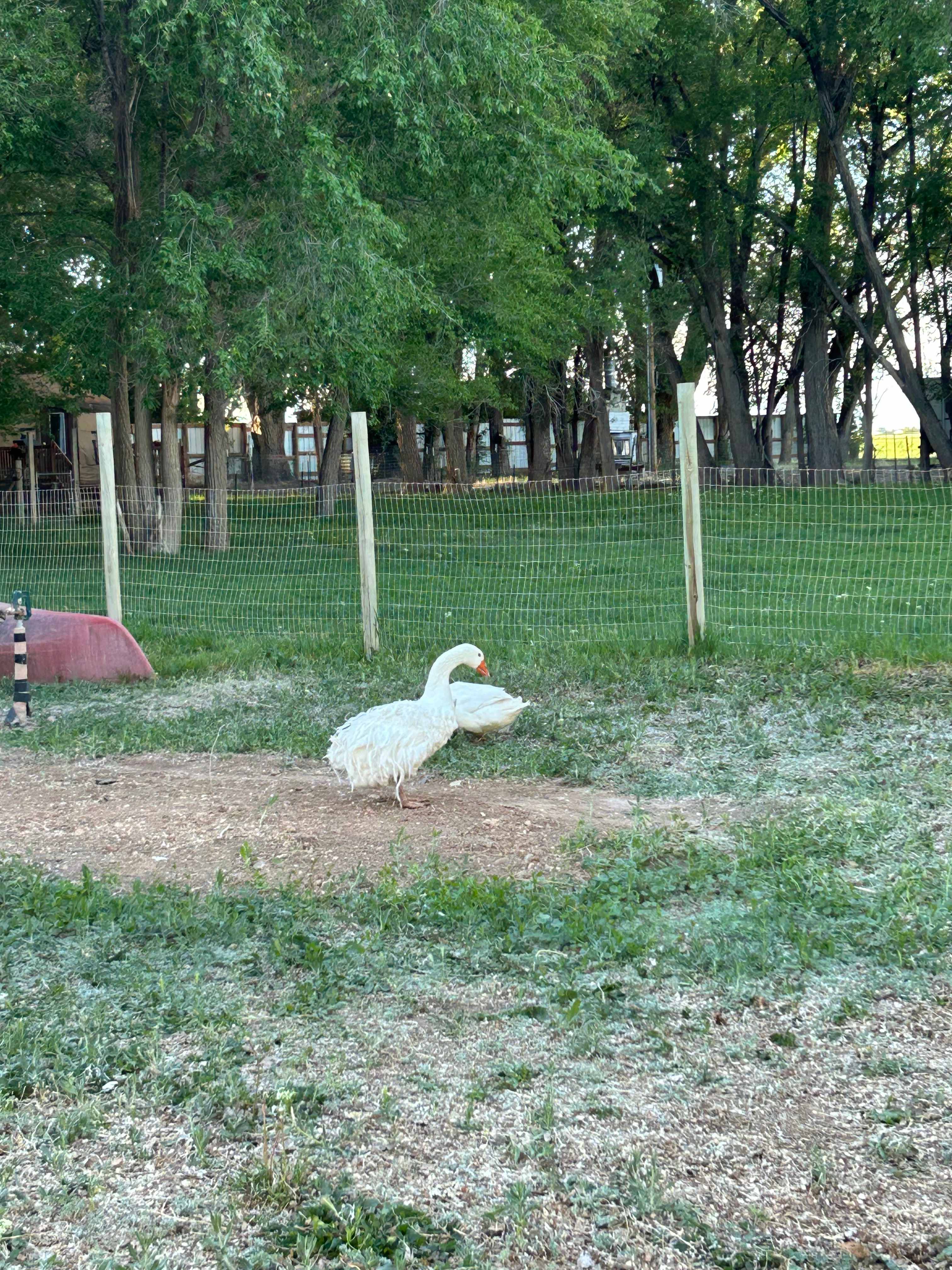 Delta Hobby Farm