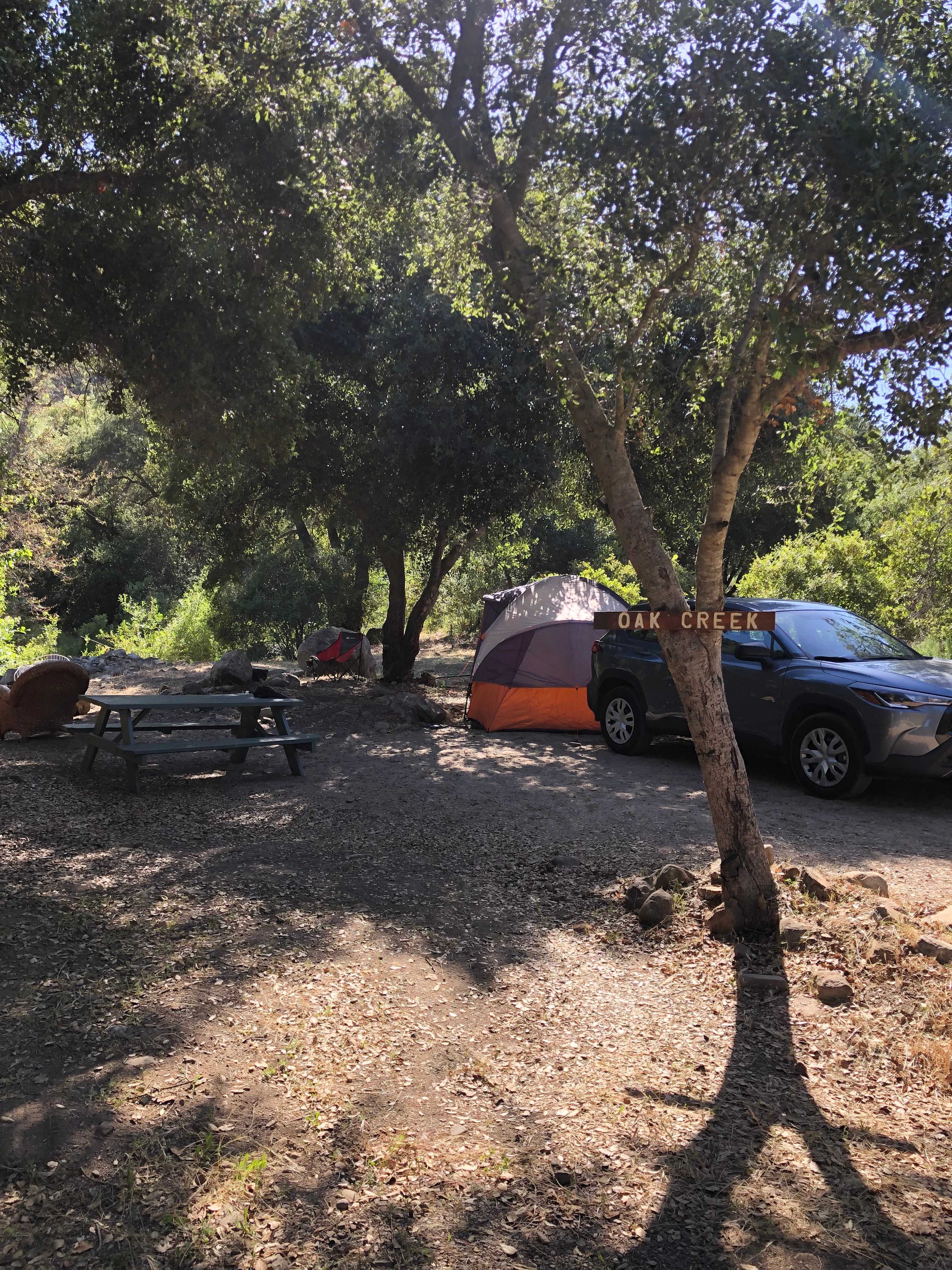 Camp RainDale