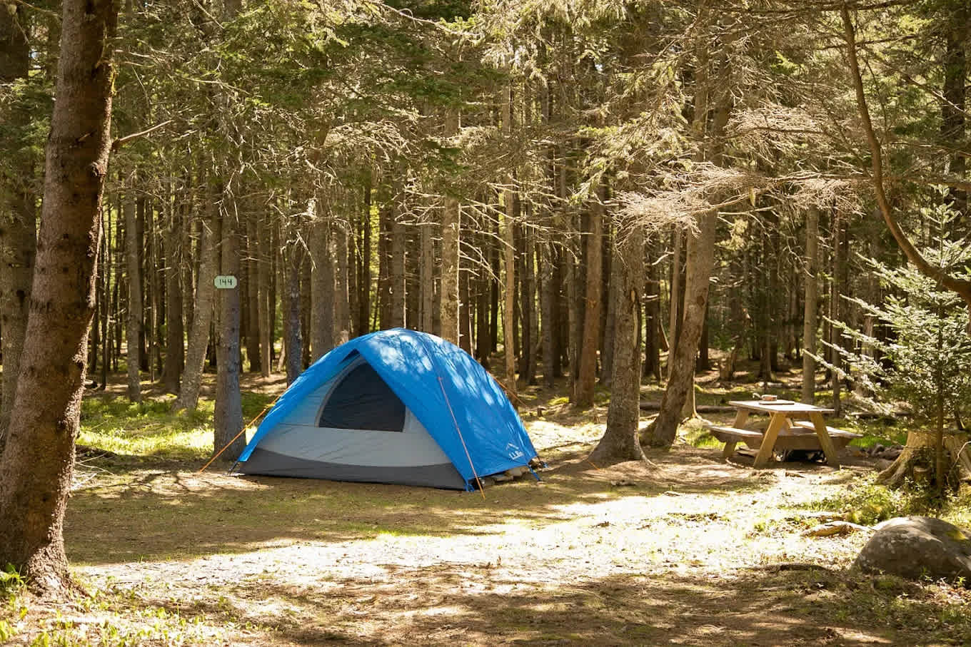 Bass Harbor Campground