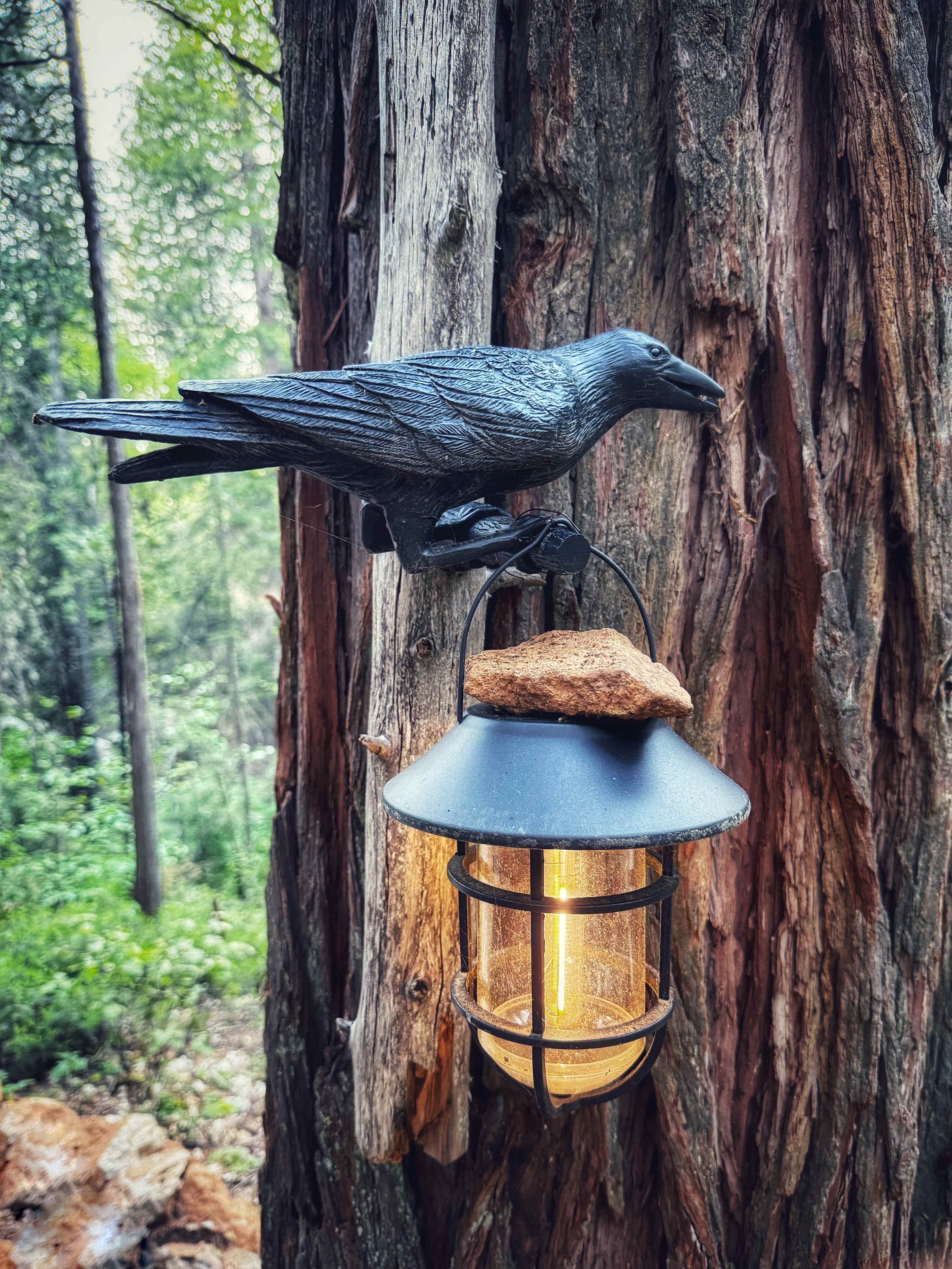 Love Creek Comfort Camping