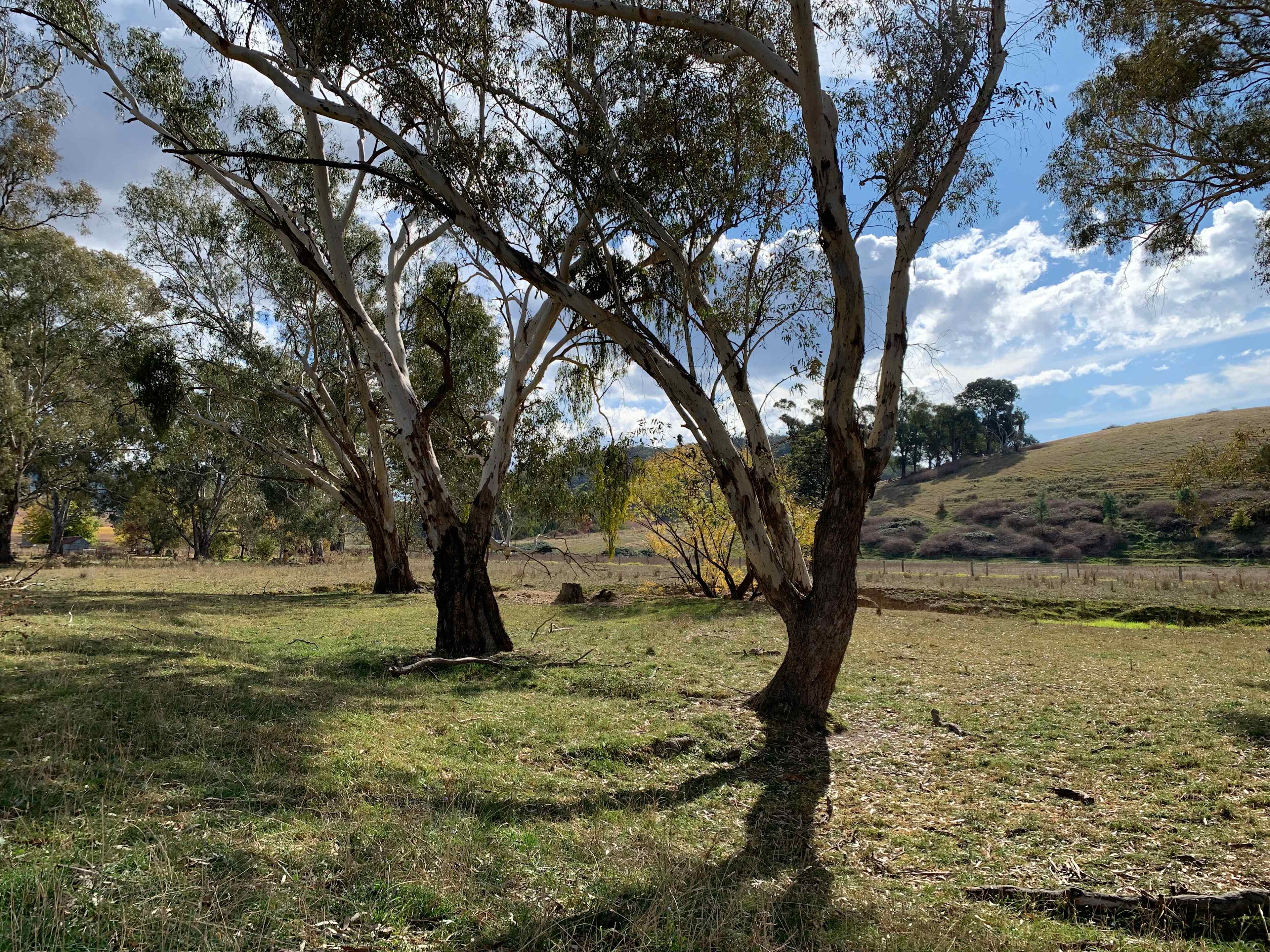 Glenwaters Farmstays