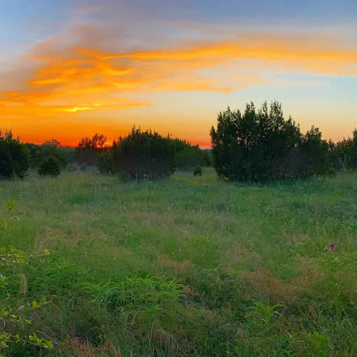 Bison Hill Ranch