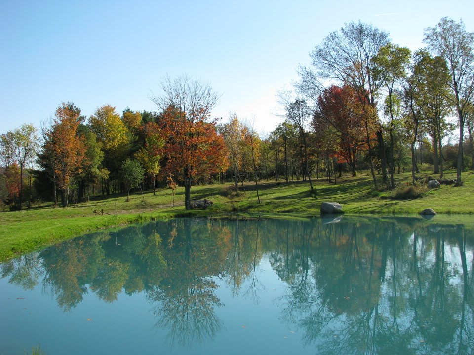 All Adventures Campground