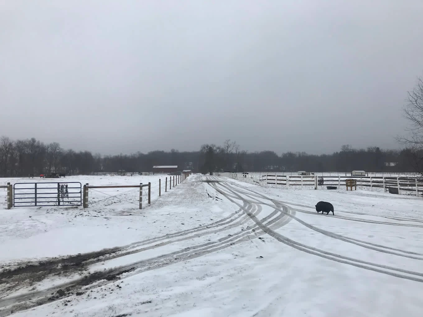 Clover Hill Farm