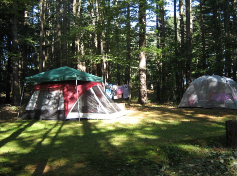 Cascadia Park