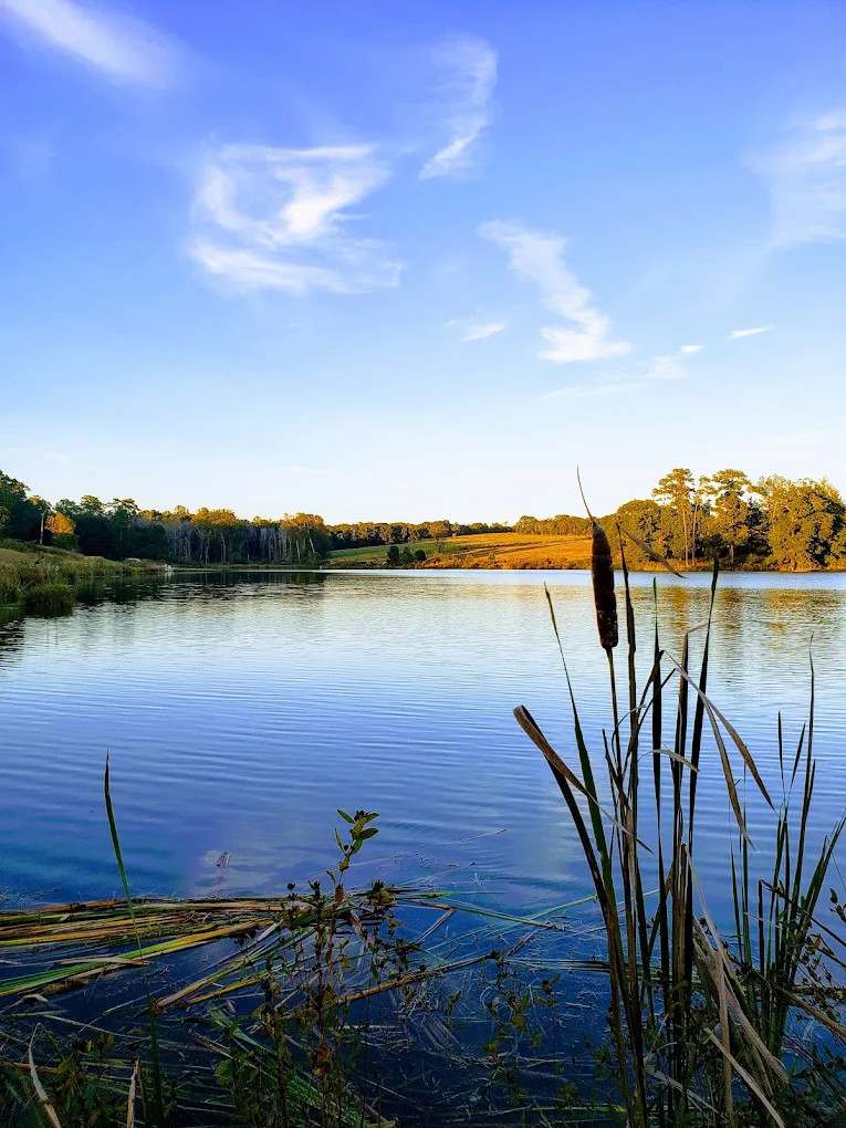 Walnut Creek RV Park