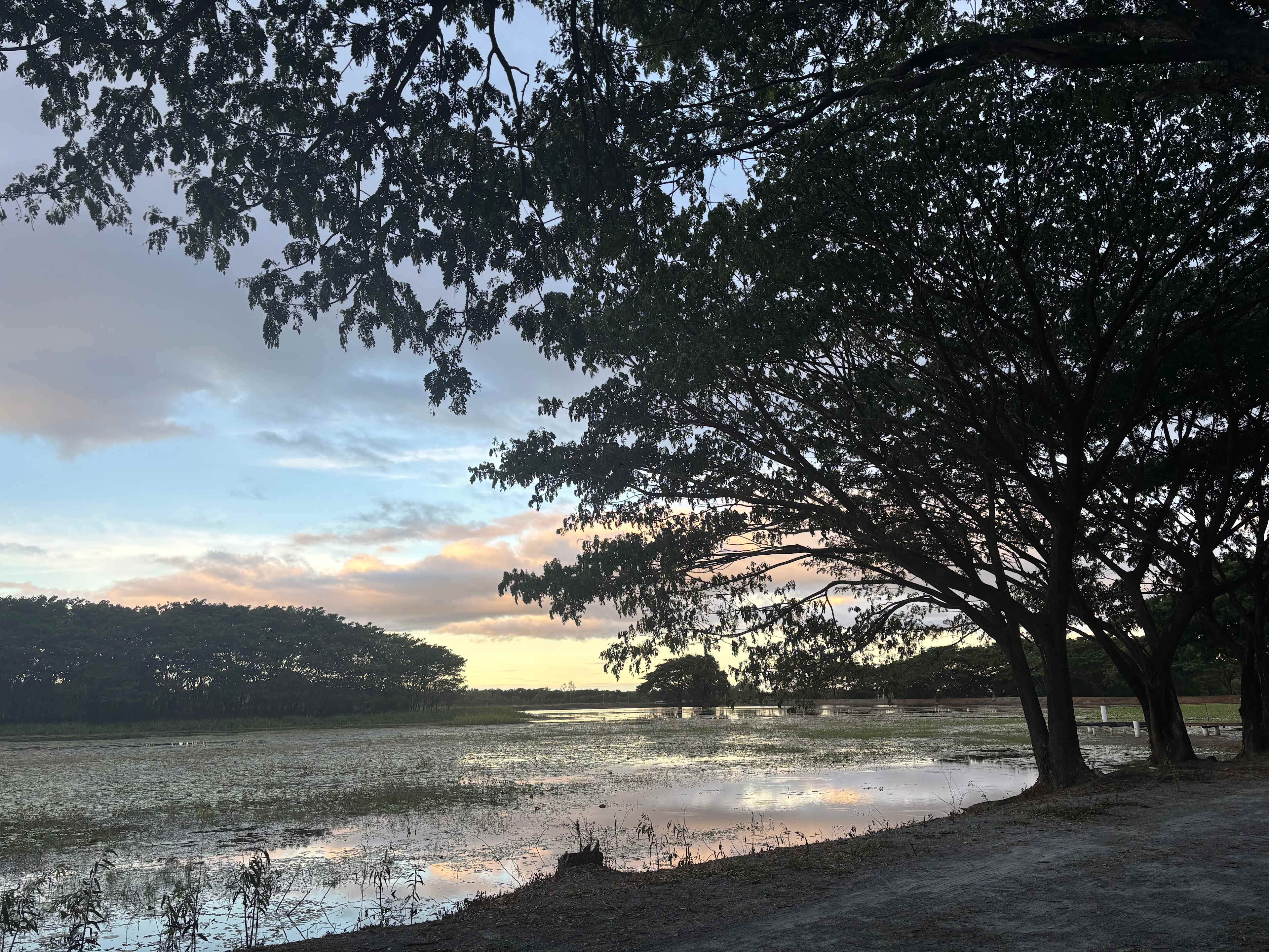 Mount Surround Campground