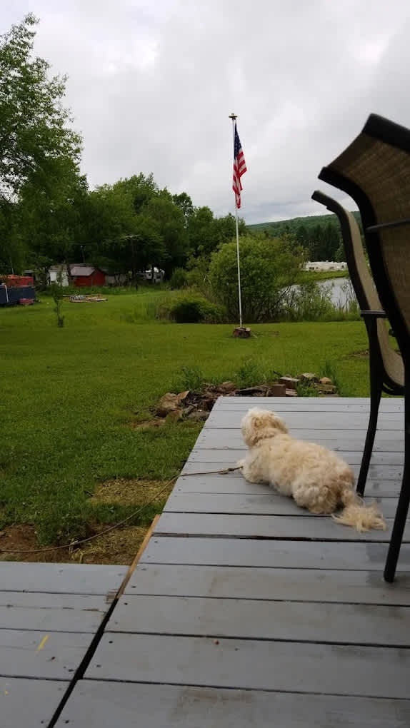McCarthy Ranch and Campsite, LLC