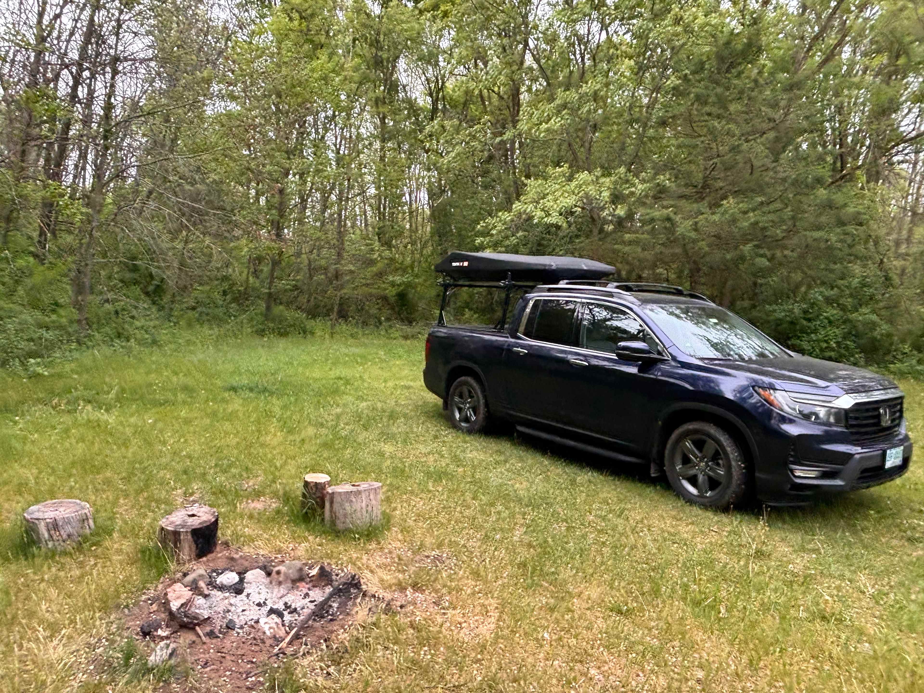  View of site toward back